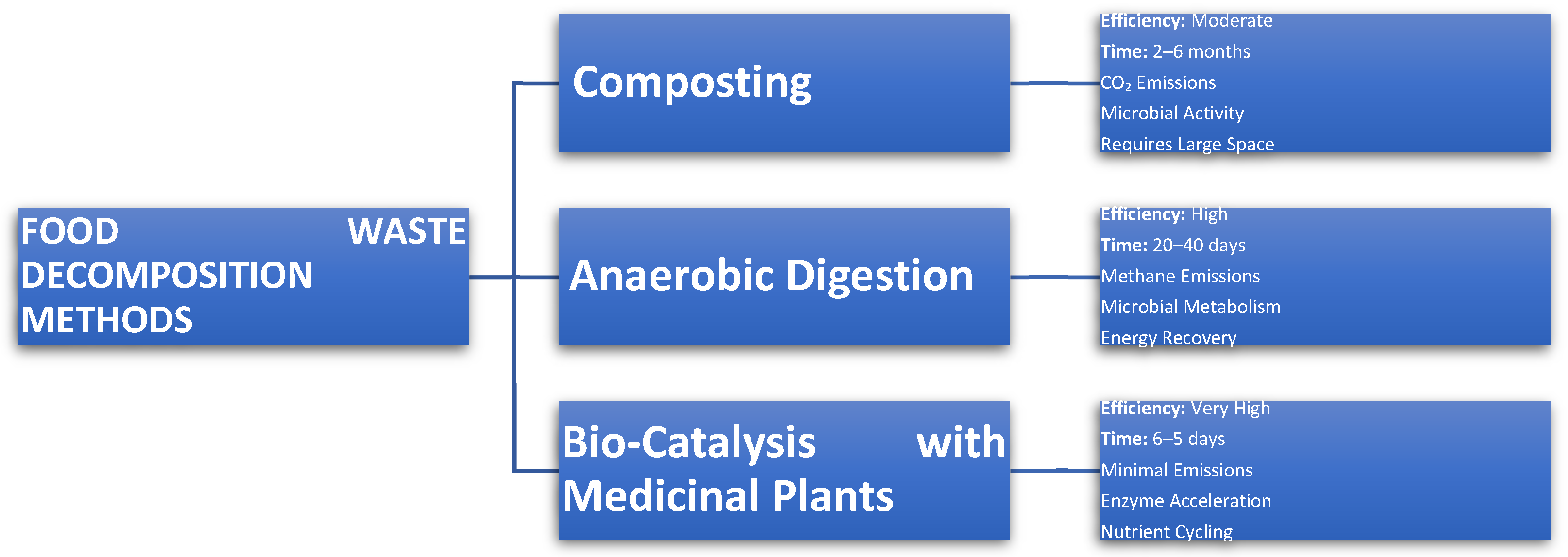 Life 15 00552 g003 Life 15 00552 g003