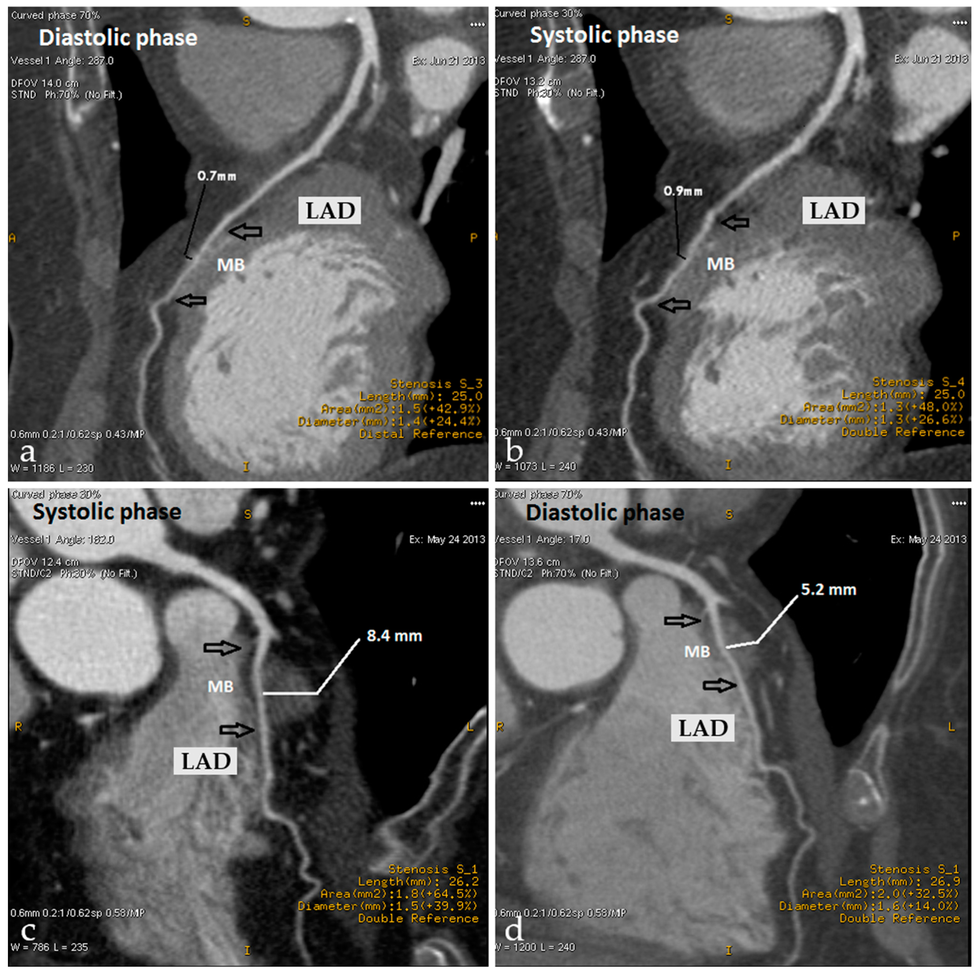 Life 15 00597 g001 Life 15 00597 g001