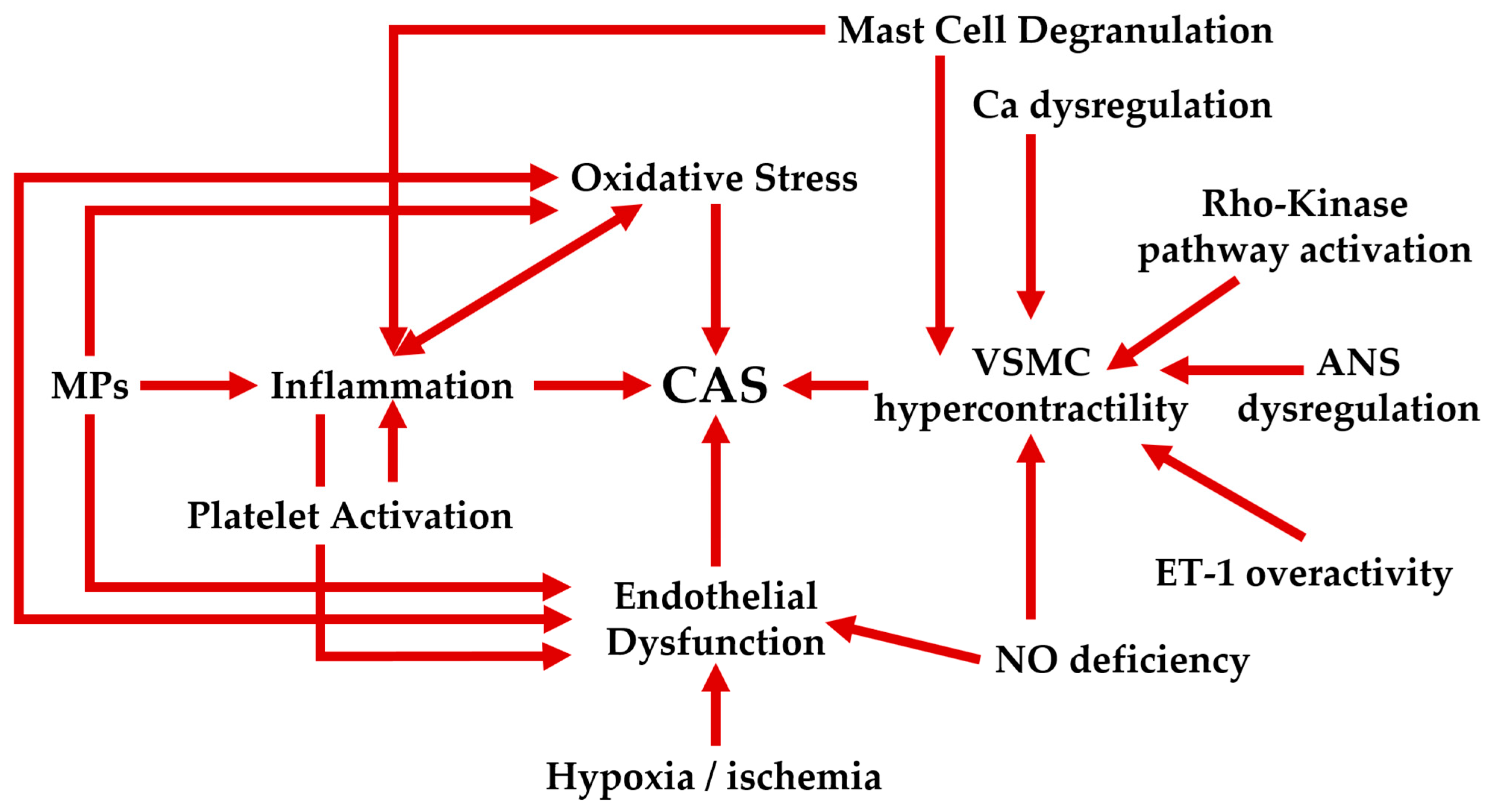 Life 15 00597 g002 Life 15 00597 g002
