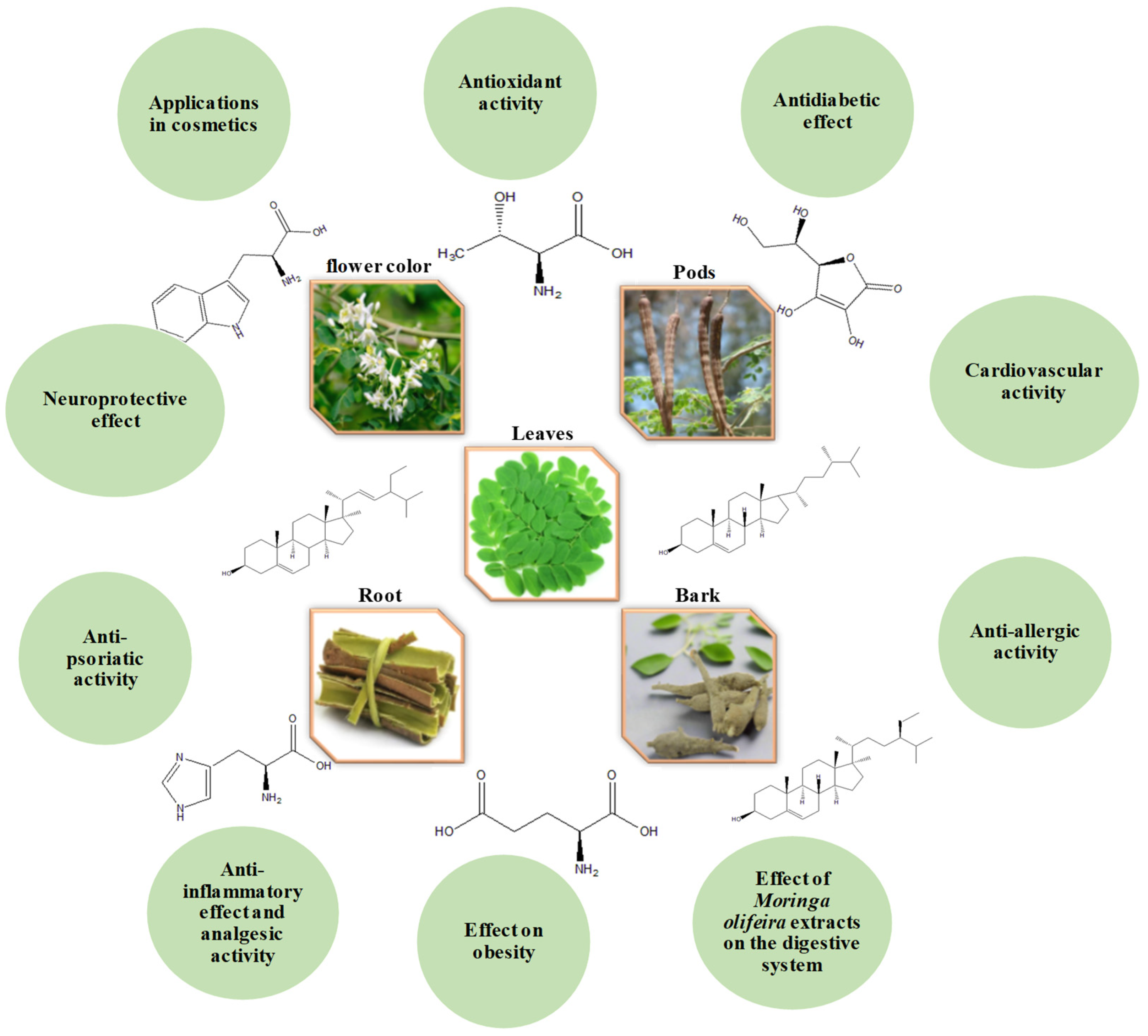 Life 15 00881 g011 Life 15 00881 g011