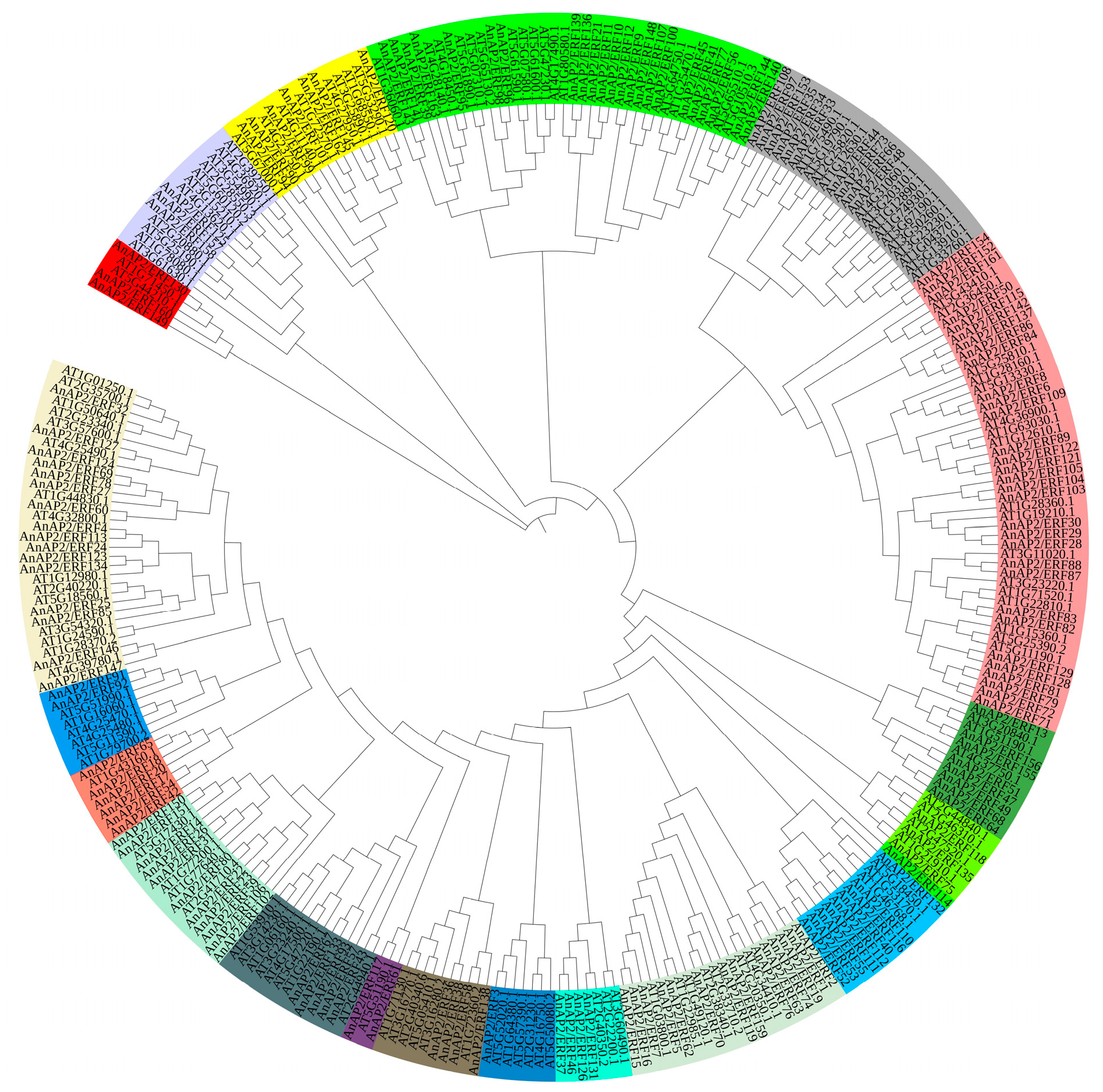 Life 15 01269 g002 Life 15 01269 g002