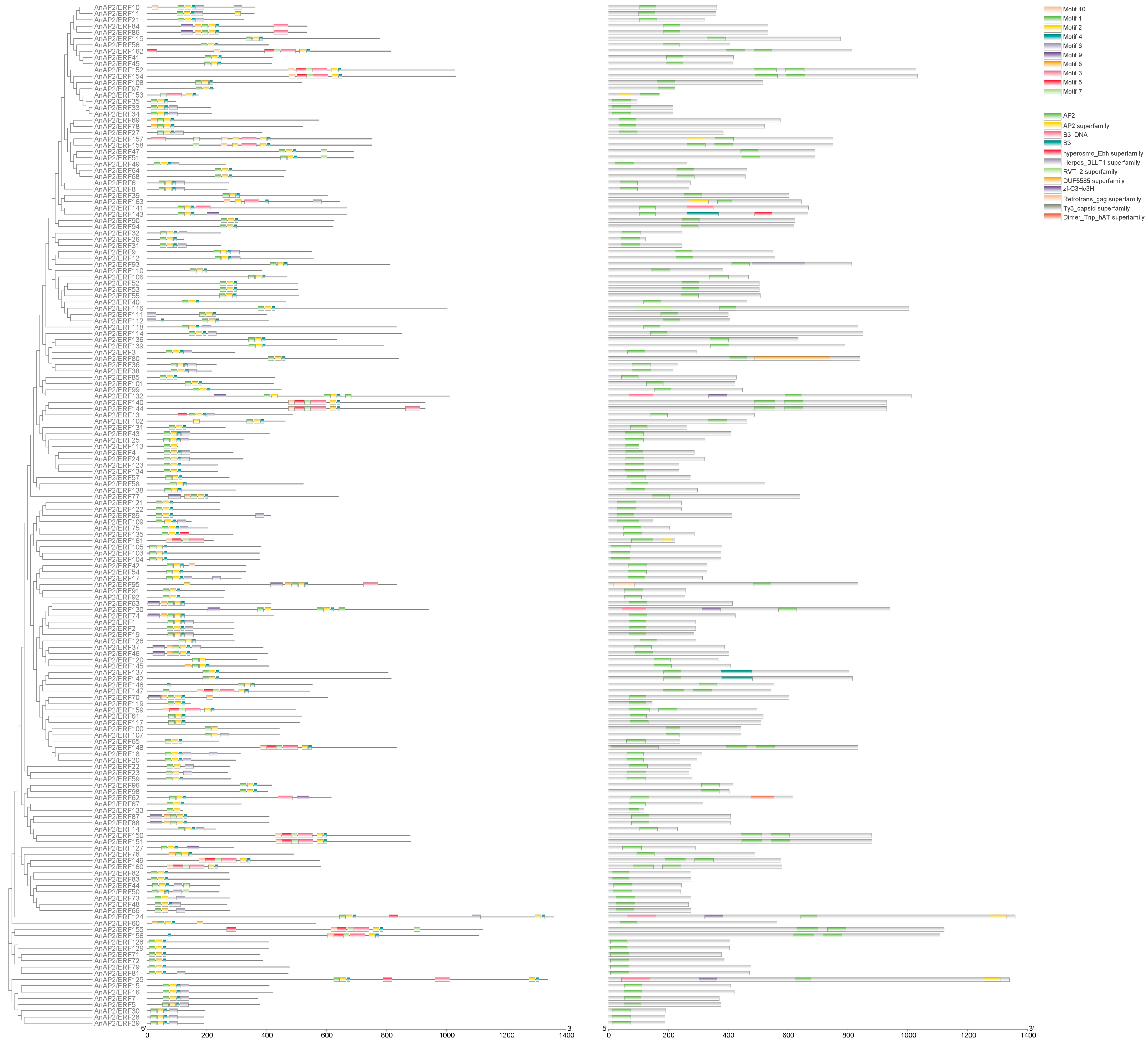 Life 15 01269 g003 Life 15 01269 g003