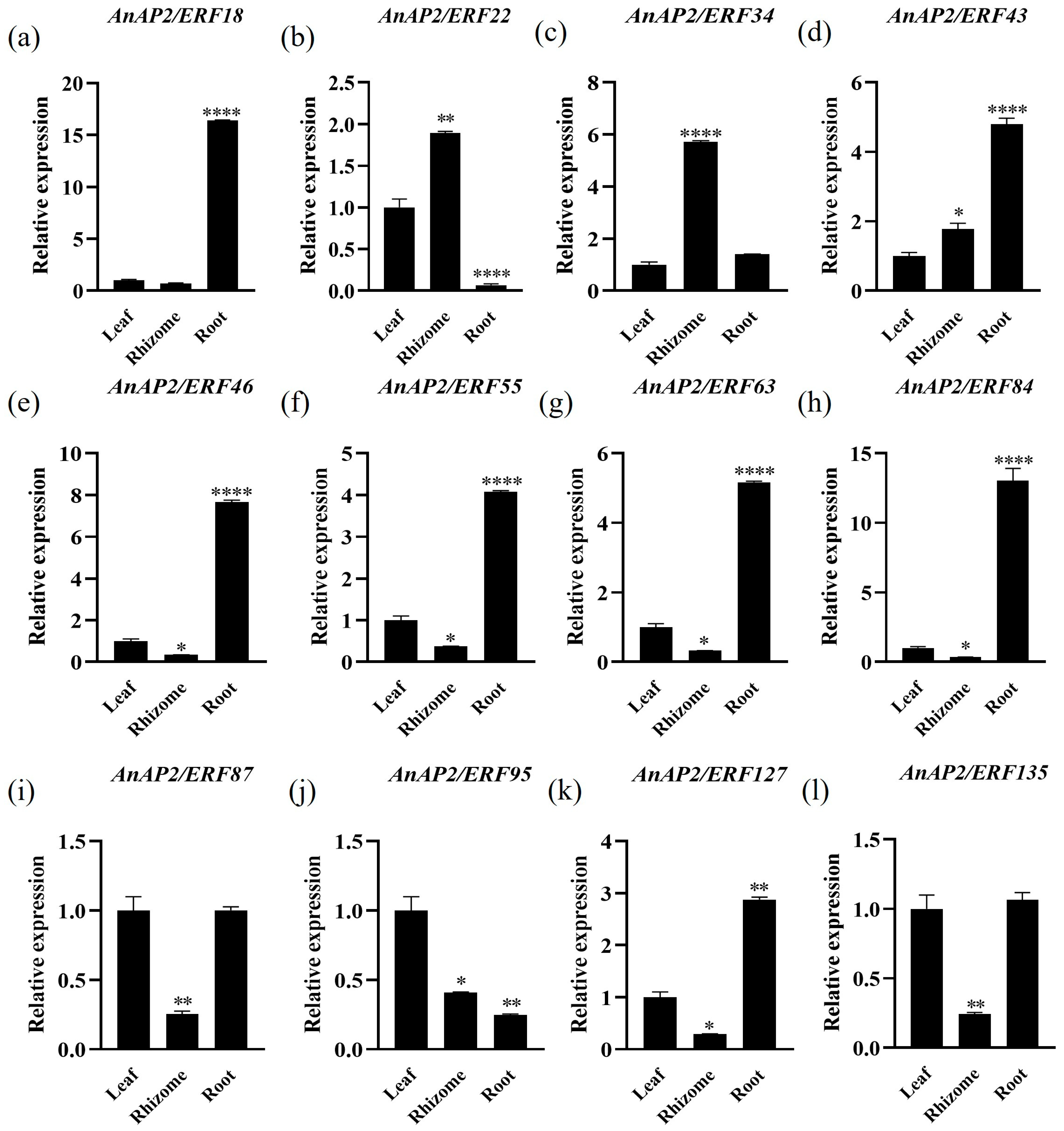 Life 15 01269 g006 Life 15 01269 g006