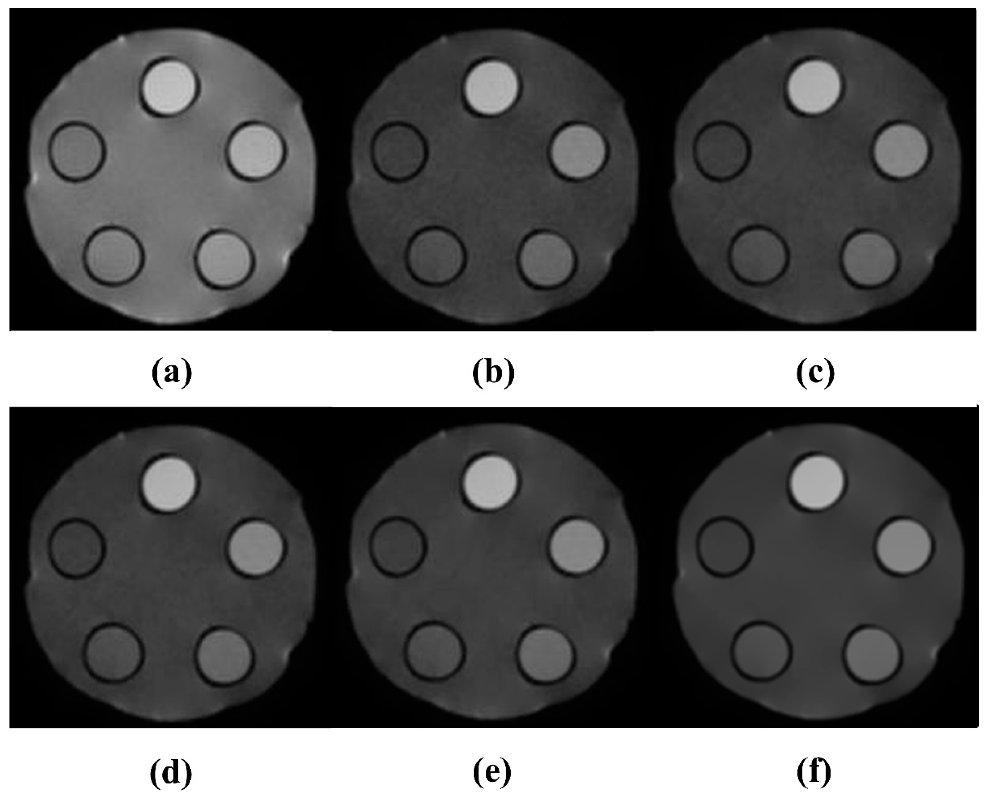 Life 15 01373 g002 Life 15 01373 g002