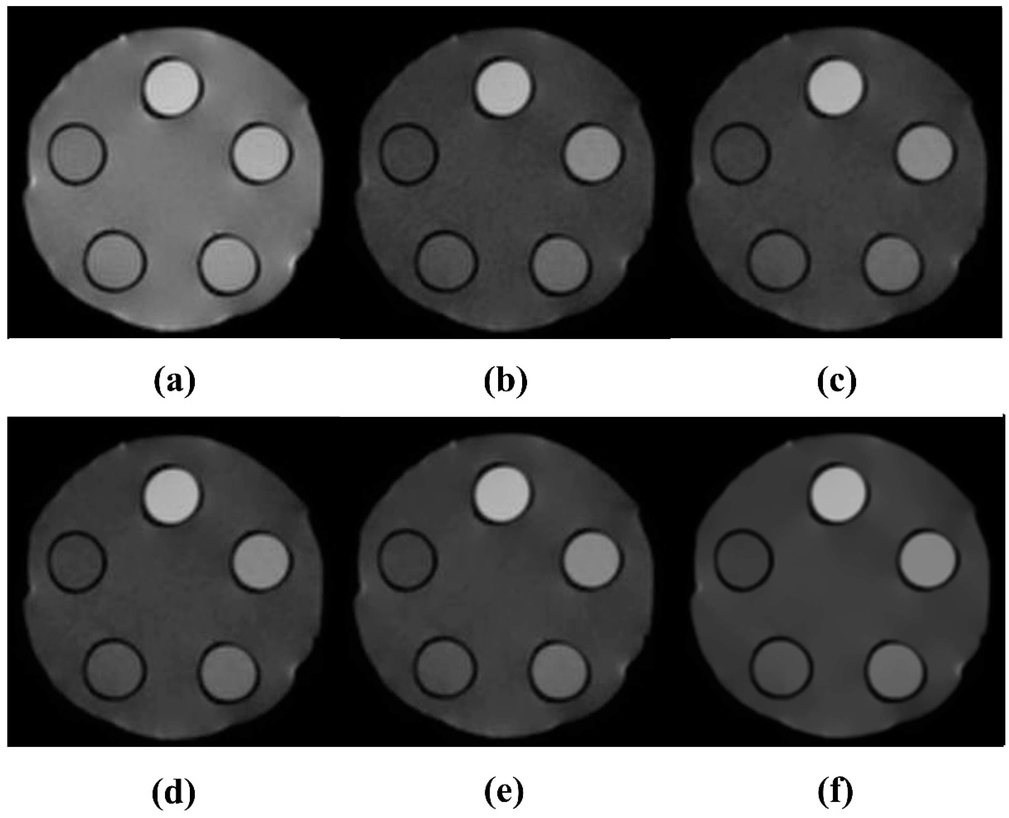 Life 15 01373 g005 Life 15 01373 g005