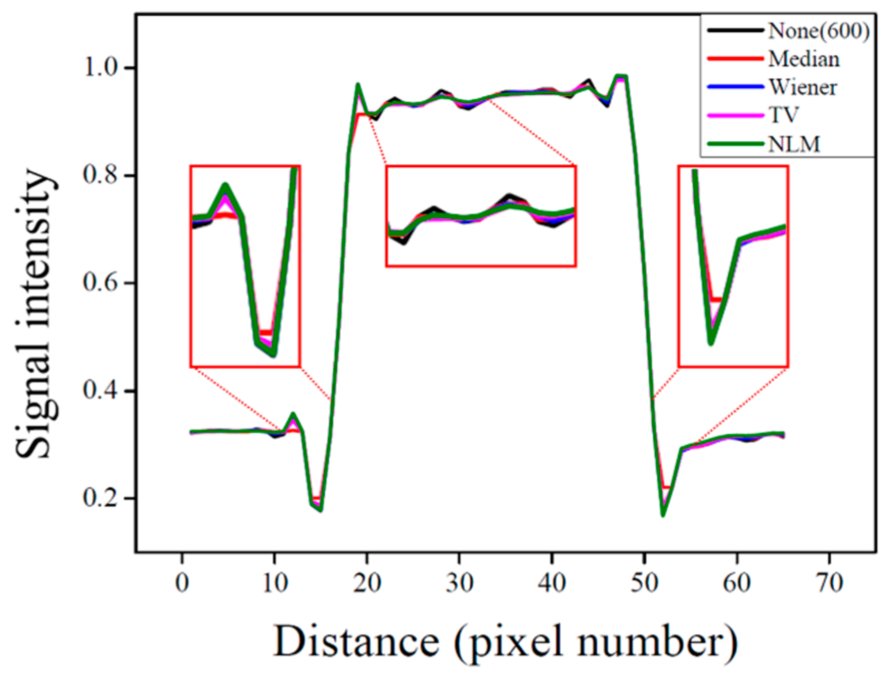 Life 15 01373 g006 Life 15 01373 g006