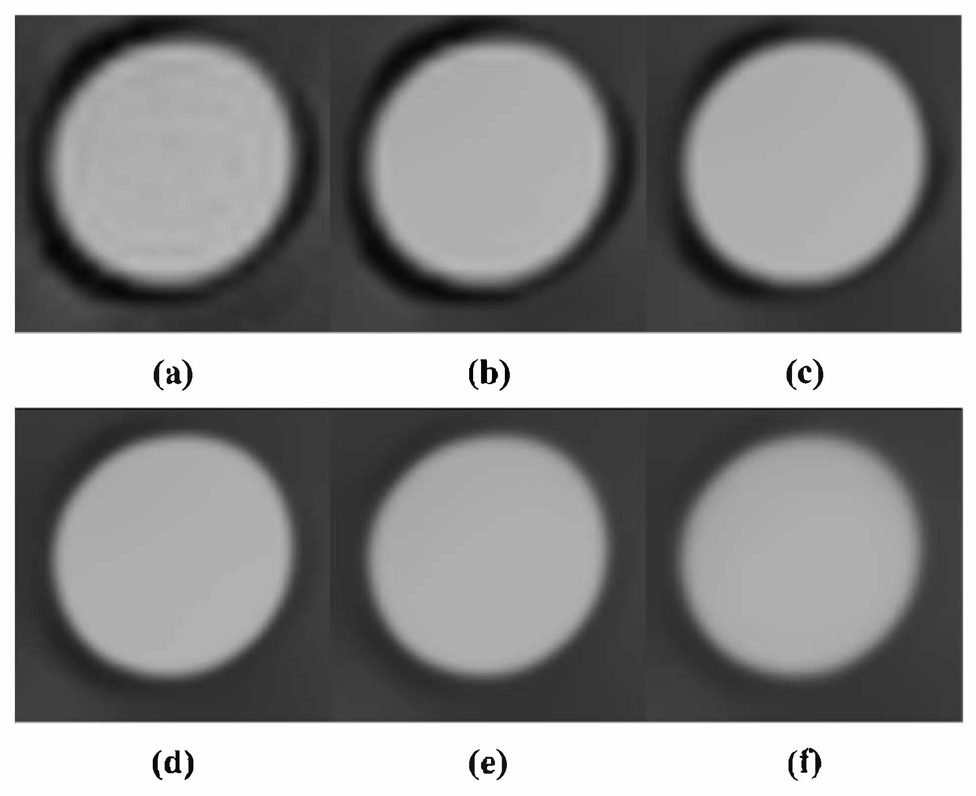 Life 15 01373 g007 Life 15 01373 g007