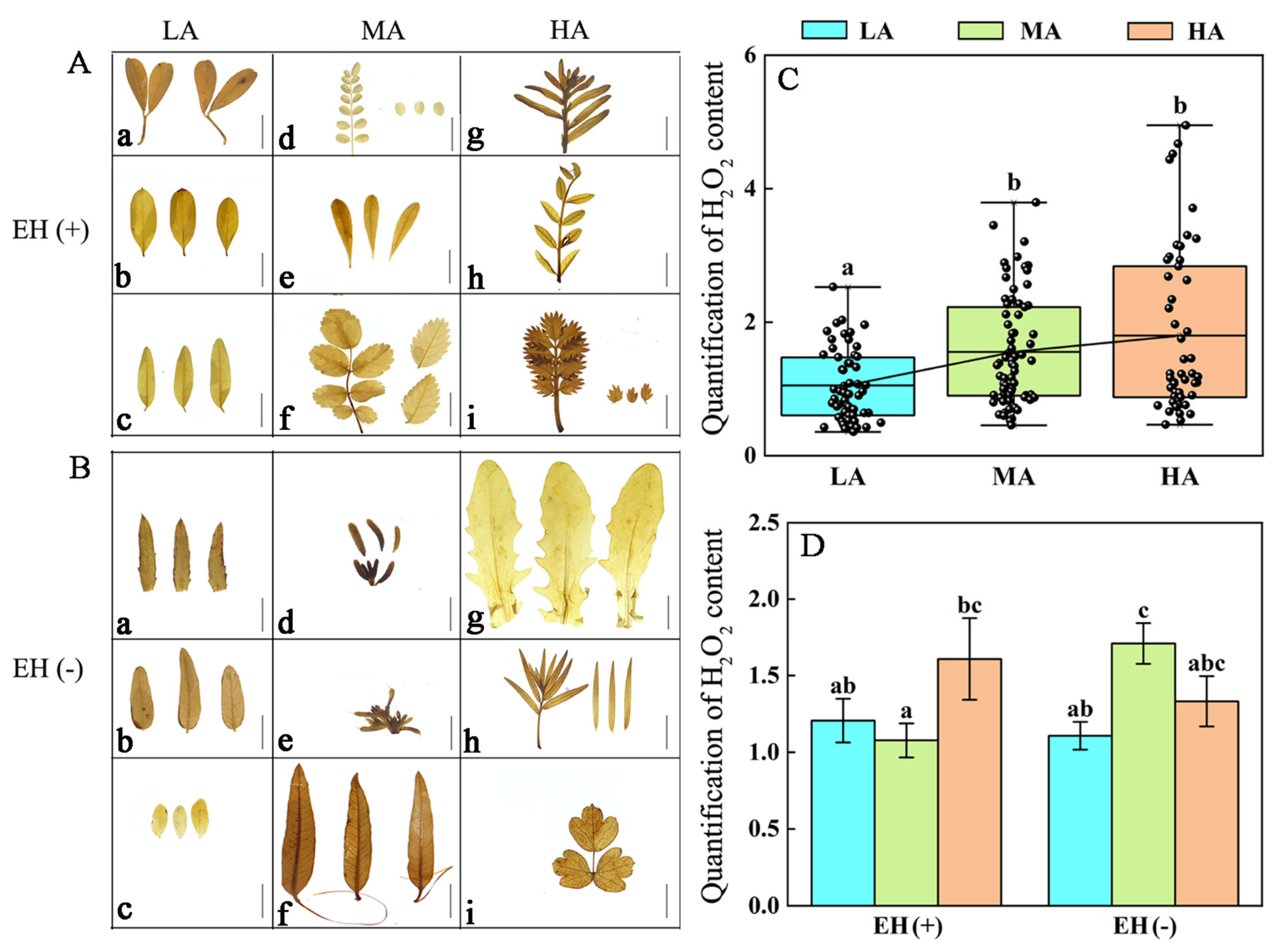Life 15 01375 g006 Life 15 01375 g006