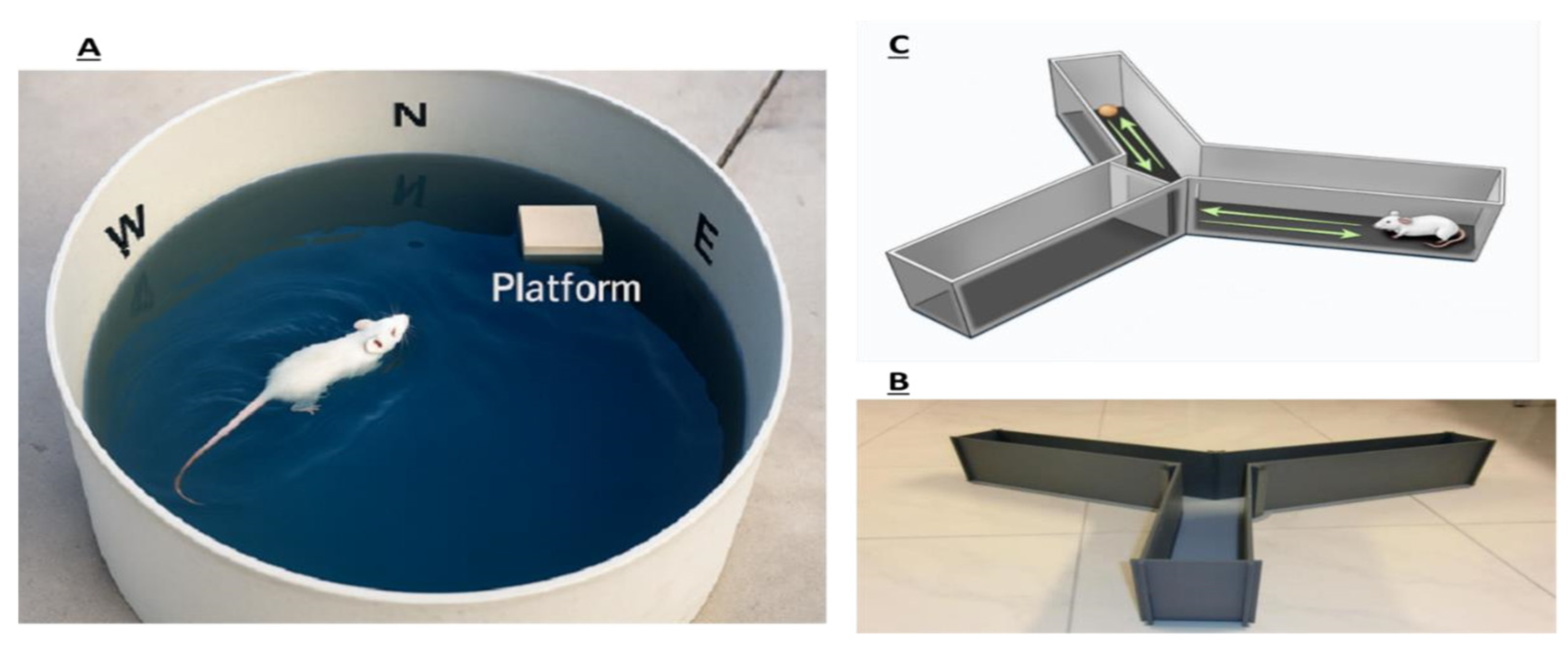 Life 15 01448 g012 Life 15 01448 g012