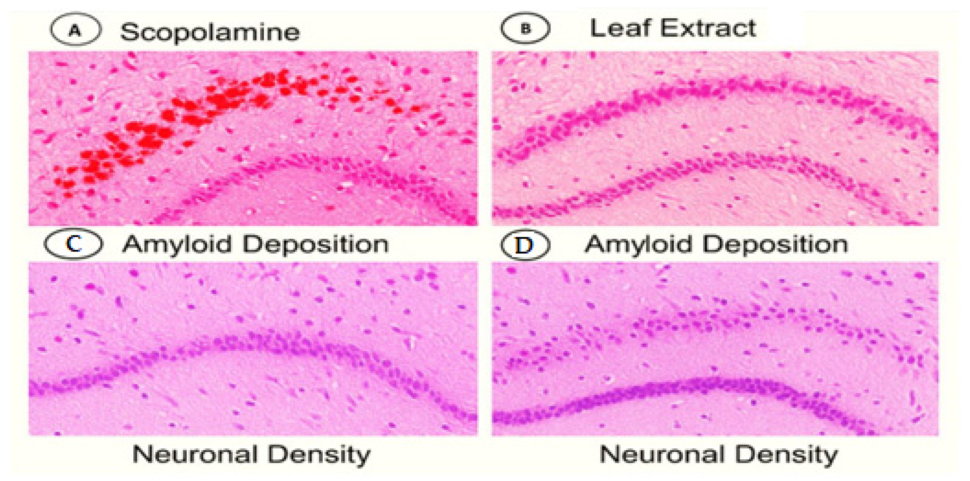 Life 15 01448 g013 Life 15 01448 g013