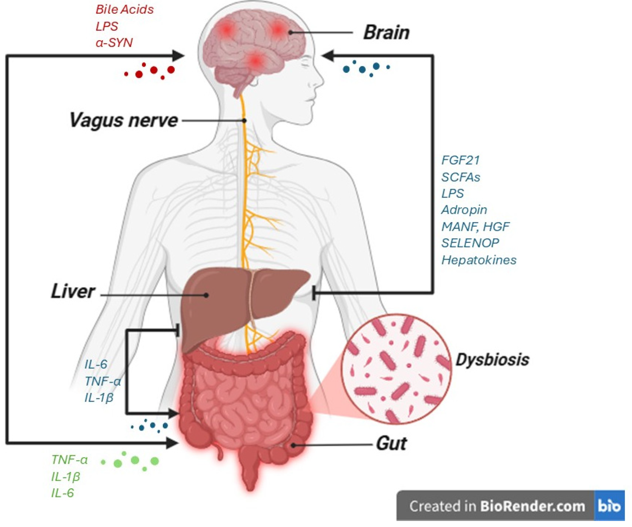 Life 15 01499 g003 Life 15 01499 g003