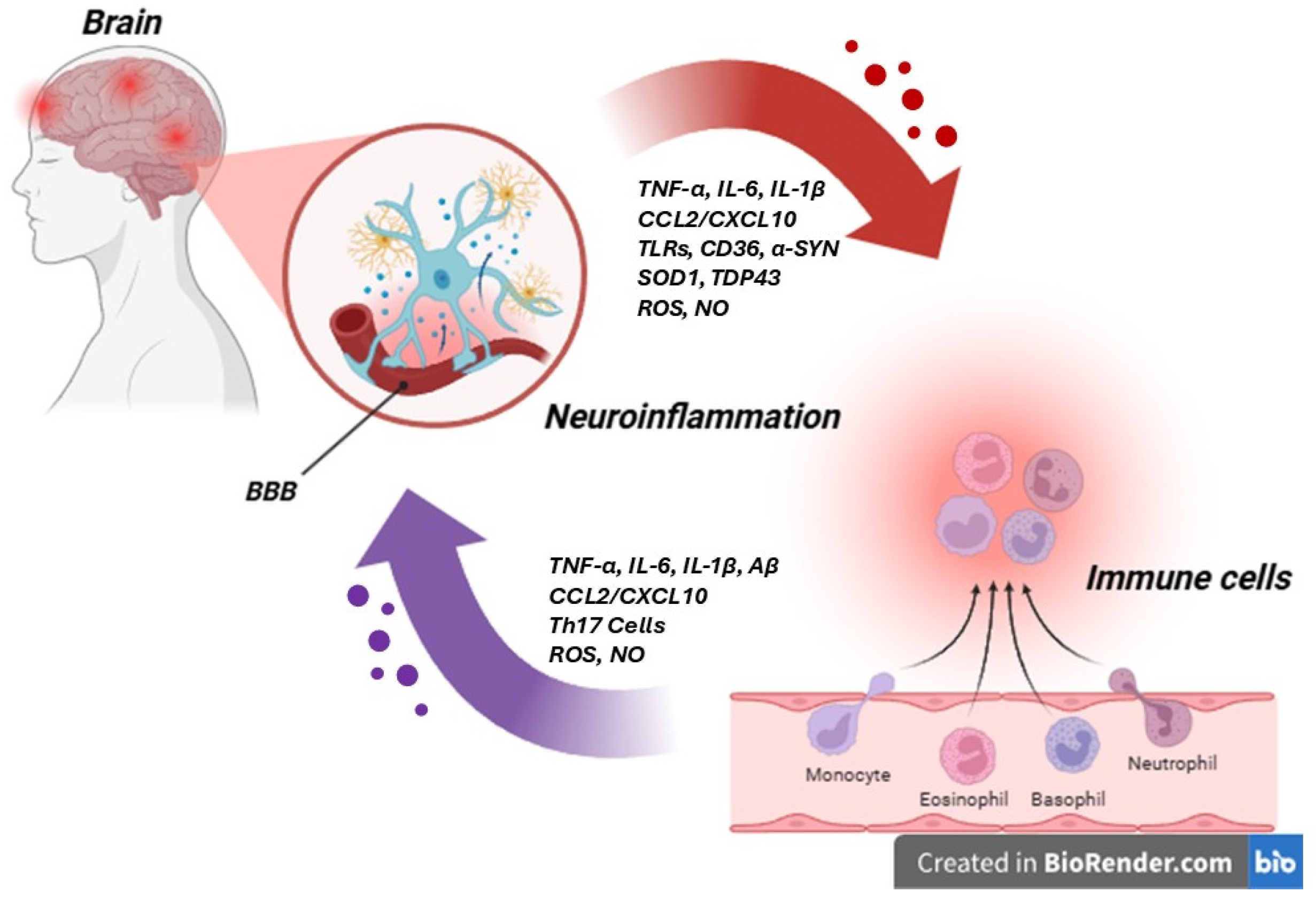 Life 15 01499 g004 Life 15 01499 g004