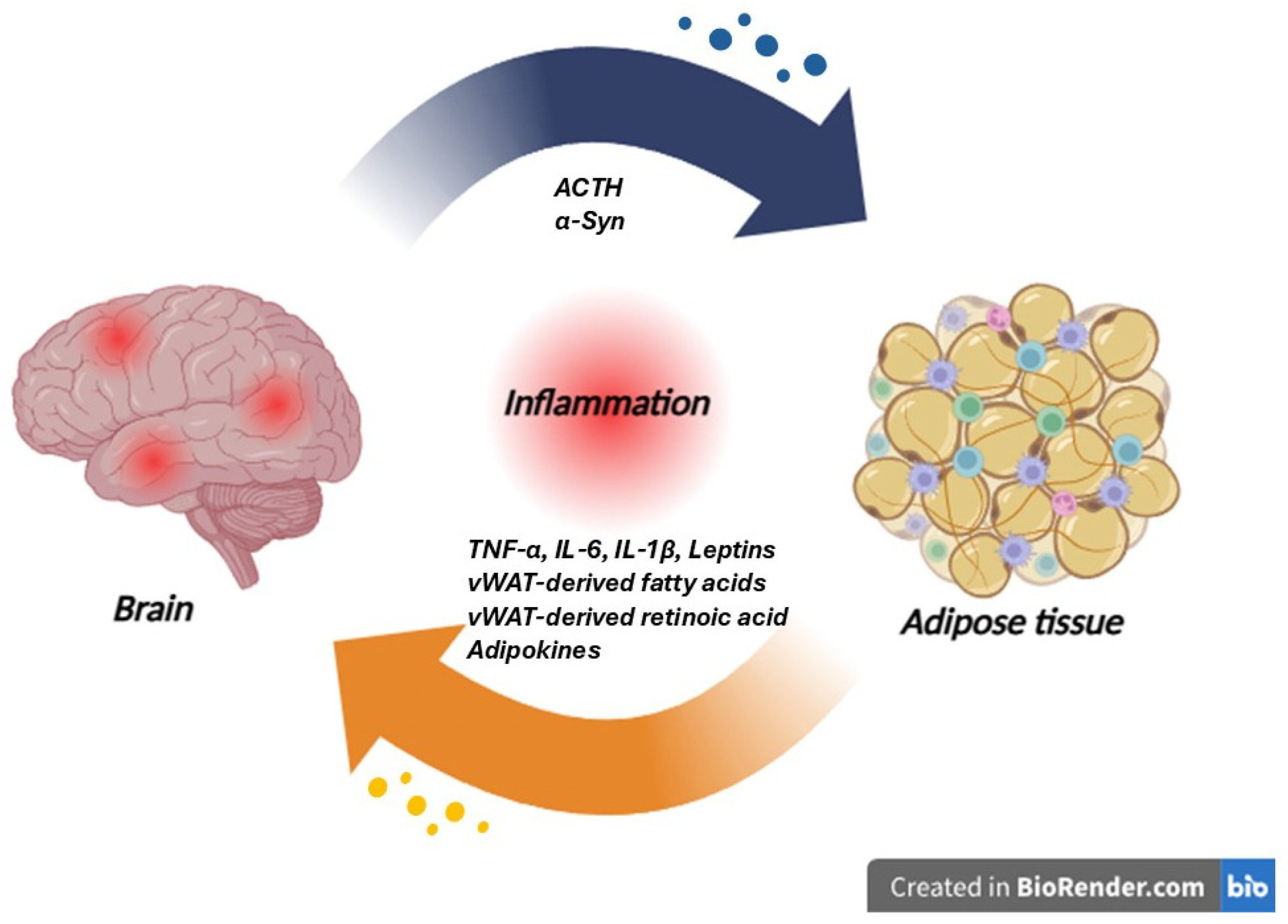 Life 15 01499 g005 Life 15 01499 g005