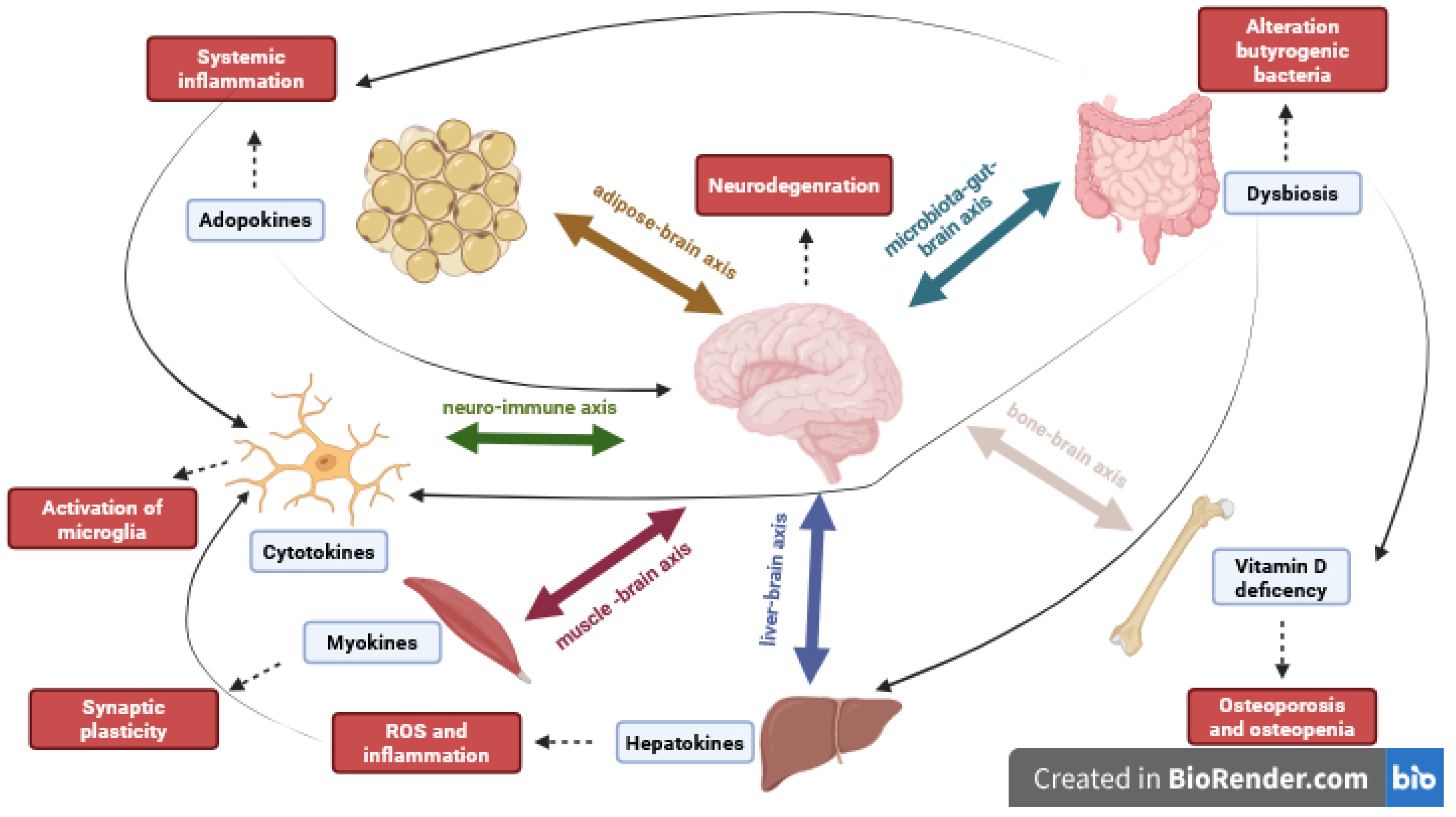 Life 15 01499 g007 Life 15 01499 g007