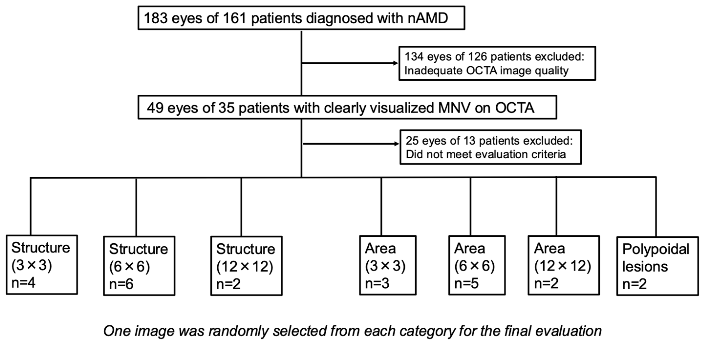 Life 15 01512 g002 Life 15 01512 g002