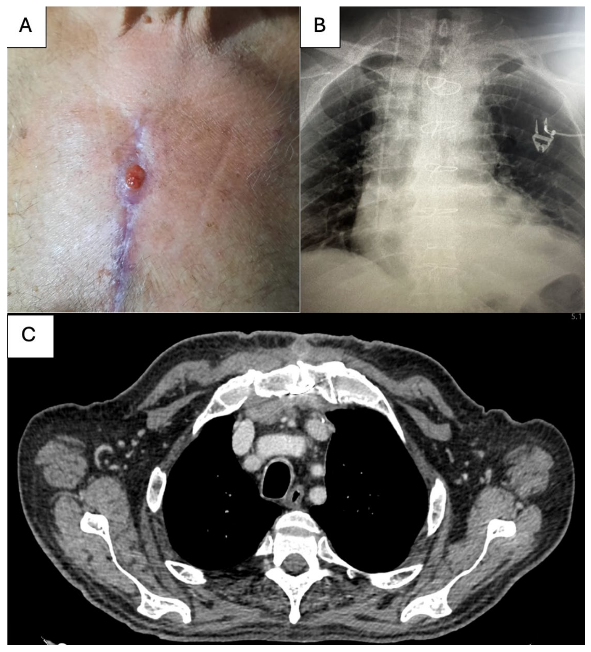 Life 15 01547 g001 Life 15 01547 g001