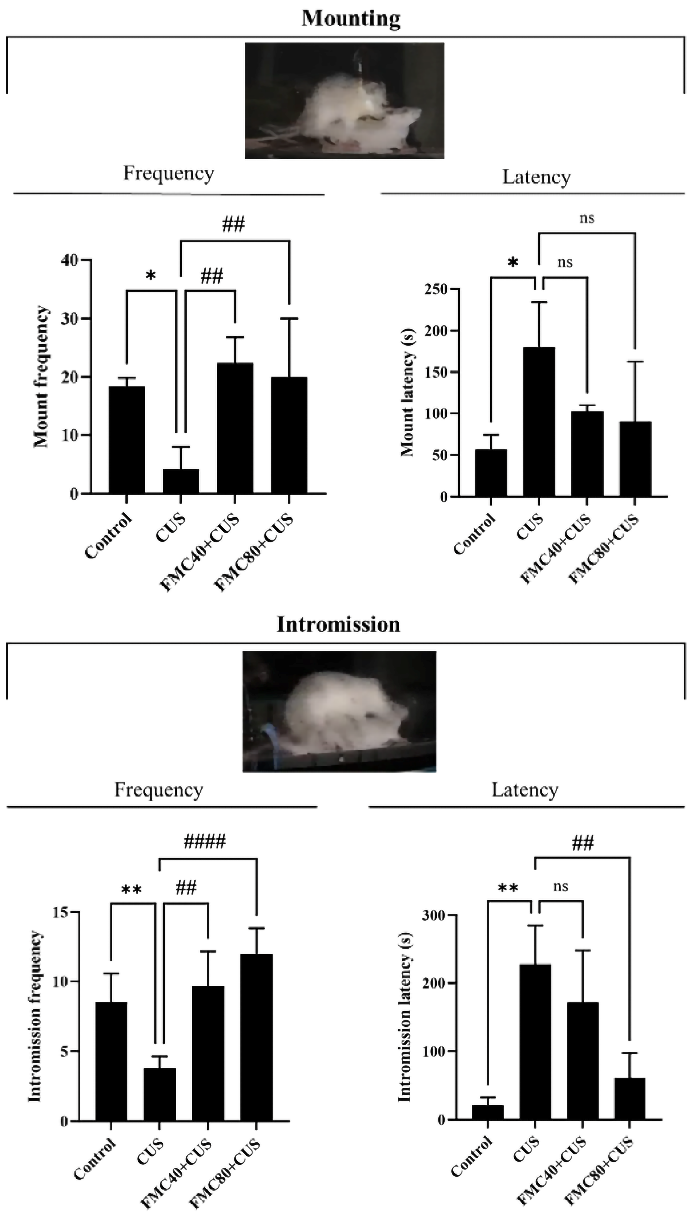 Life 15 01559 g002 Life 15 01559 g002