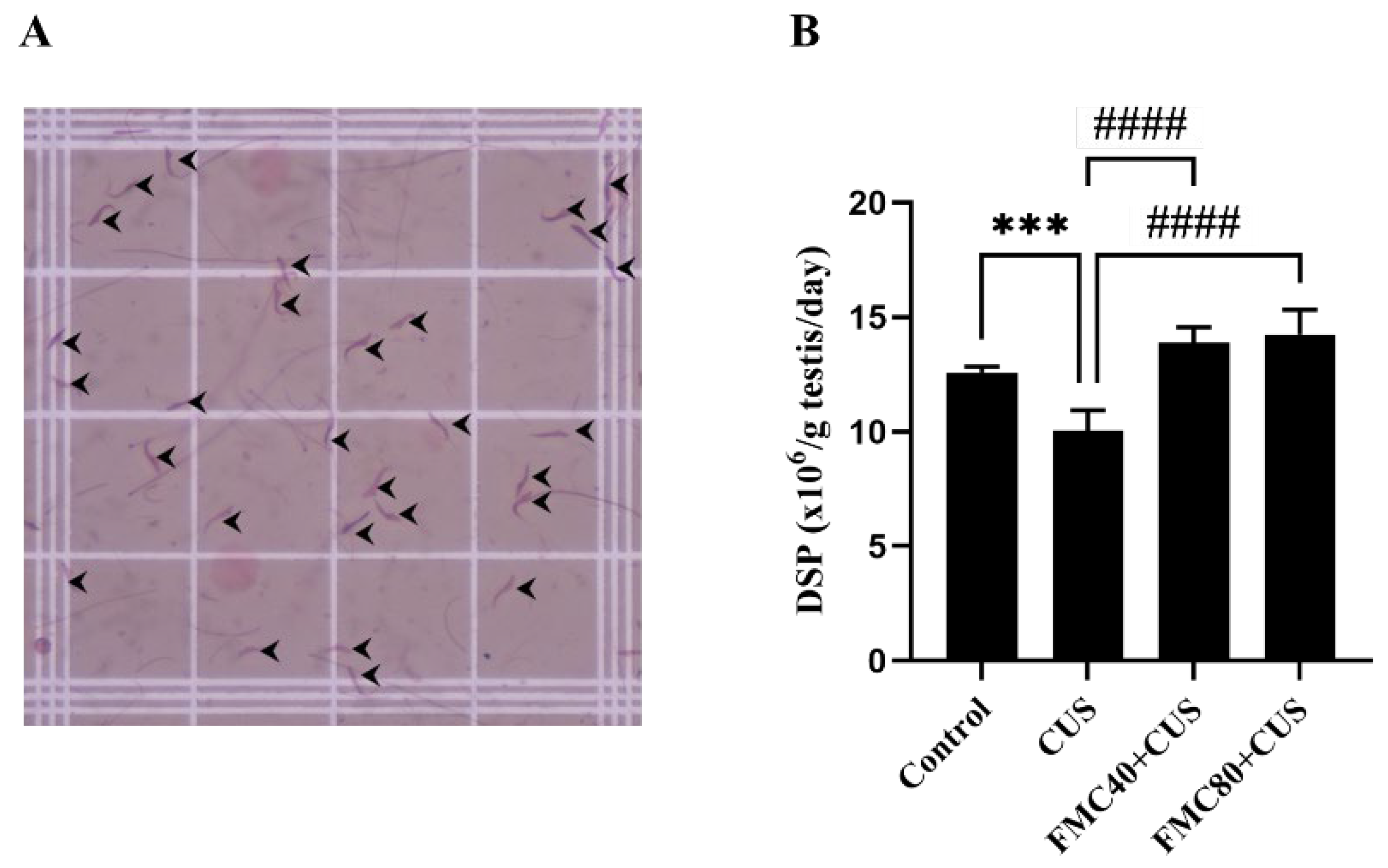 Life 15 01559 g003 Life 15 01559 g003