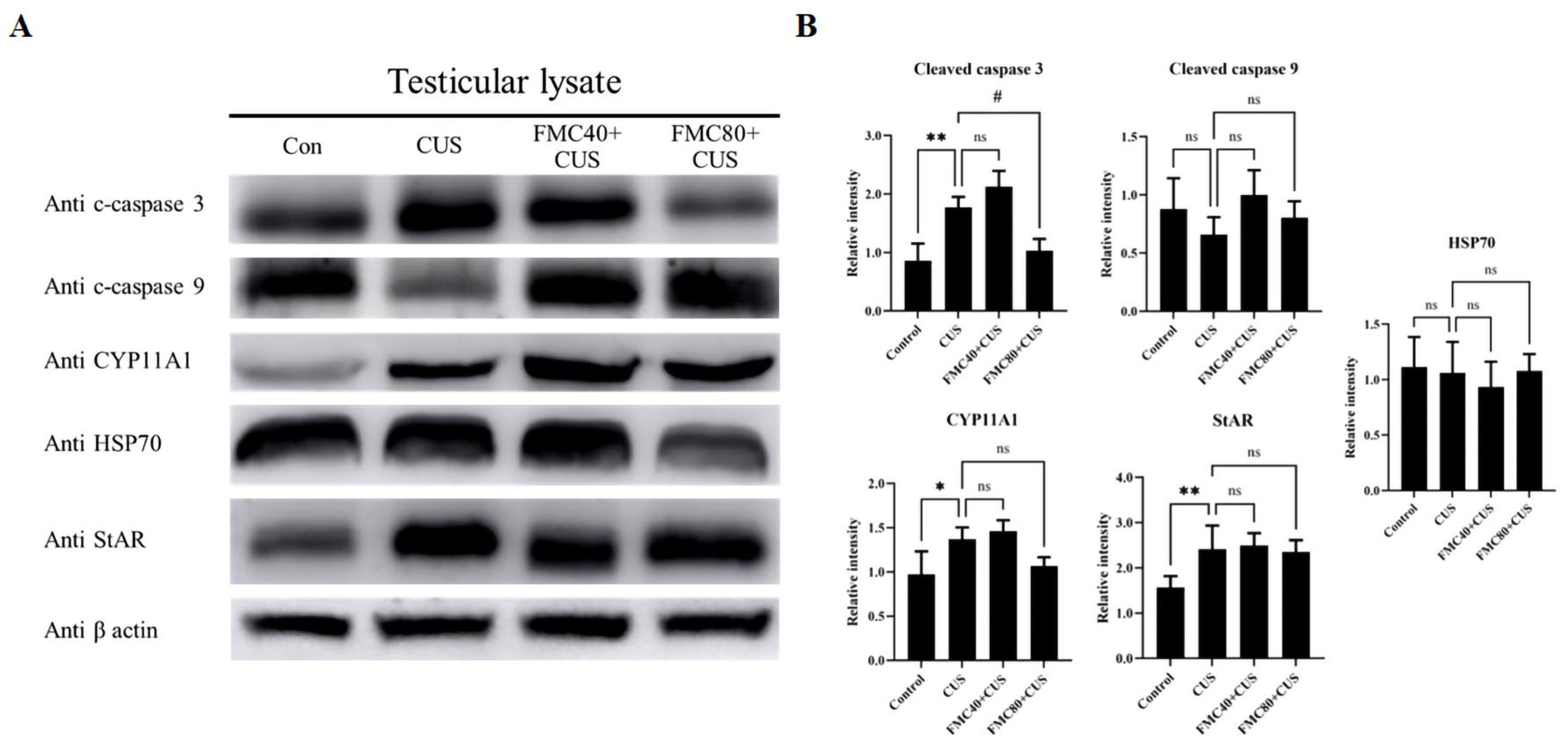 Life 15 01559 g004 Life 15 01559 g004