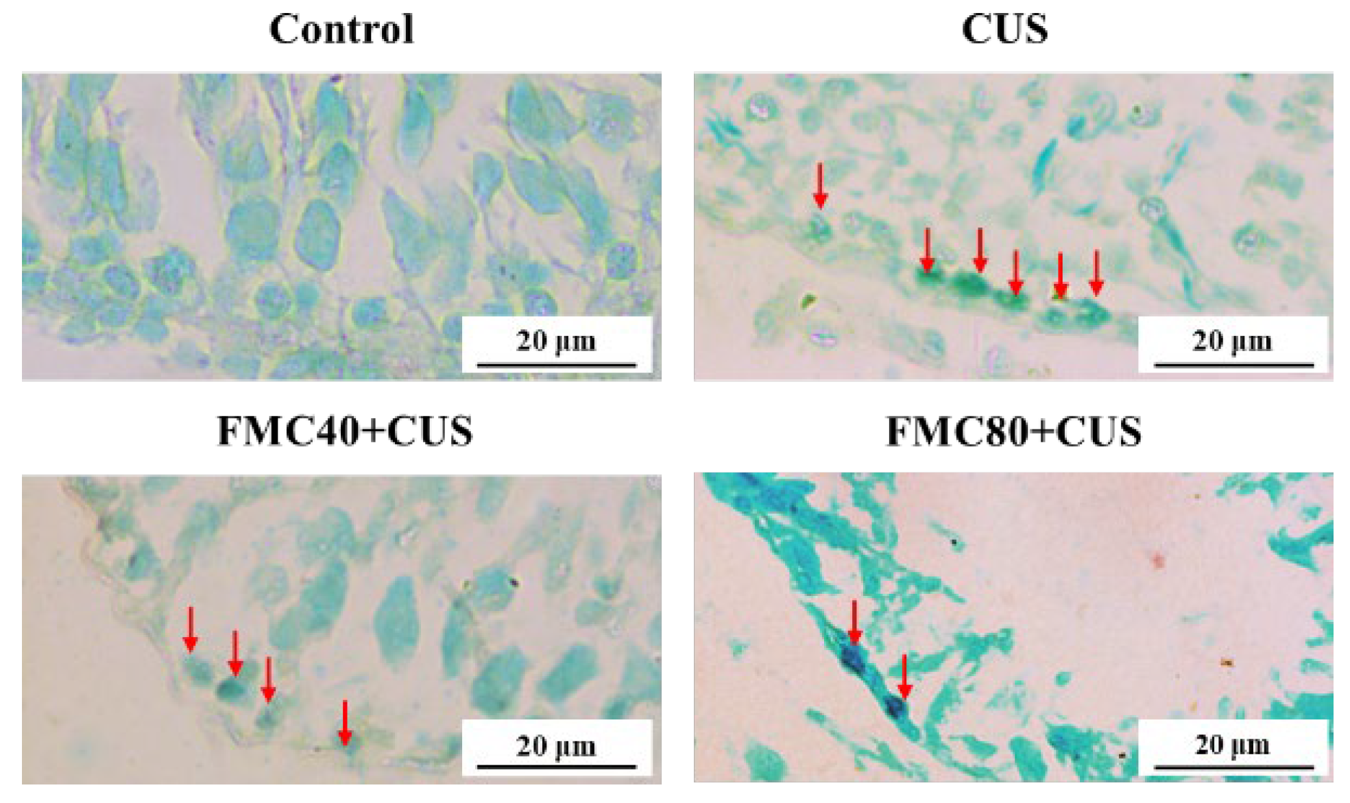 Life 15 01559 g005 Life 15 01559 g005