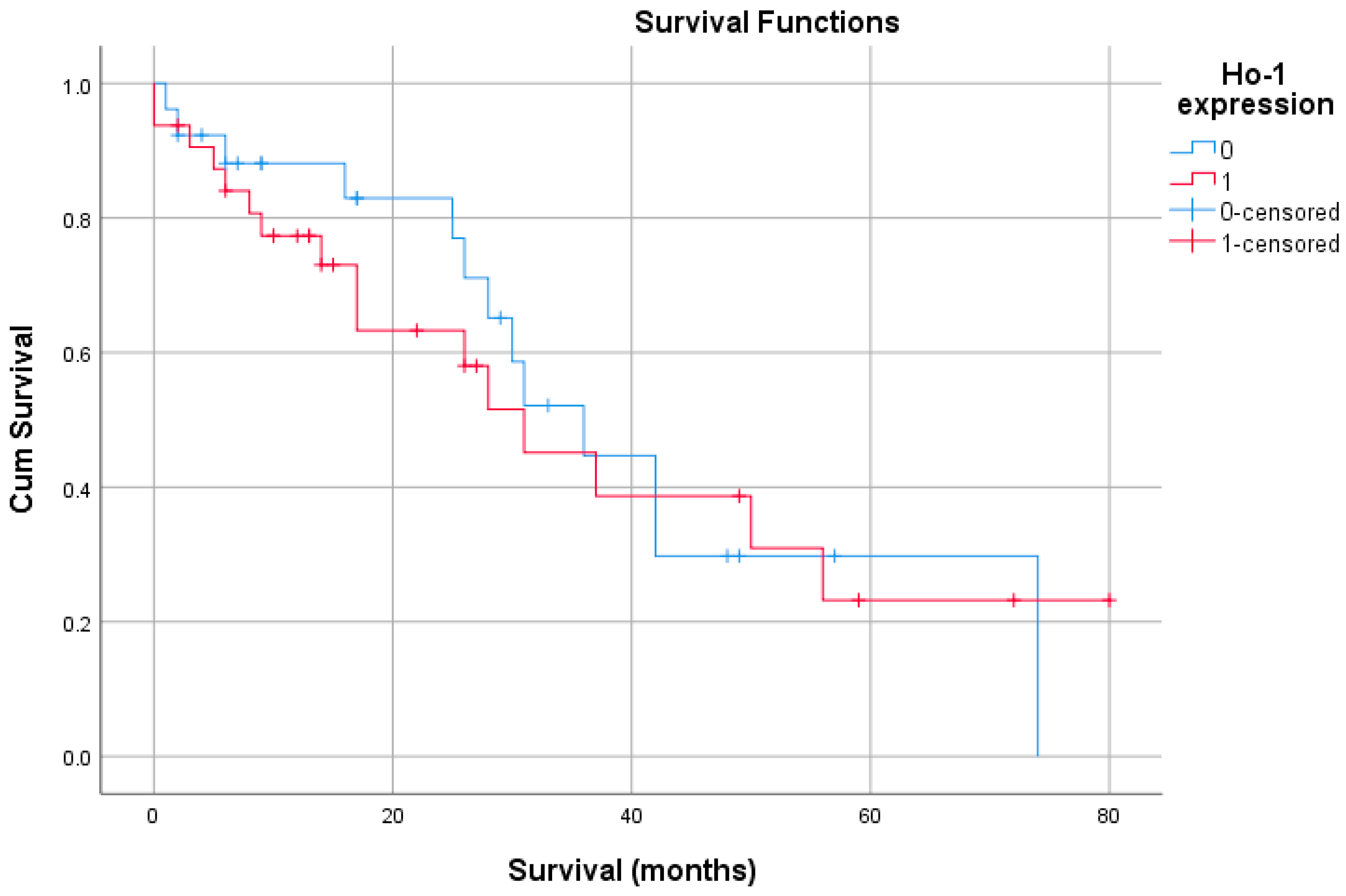 Life 15 01589 g003 Life 15 01589 g003