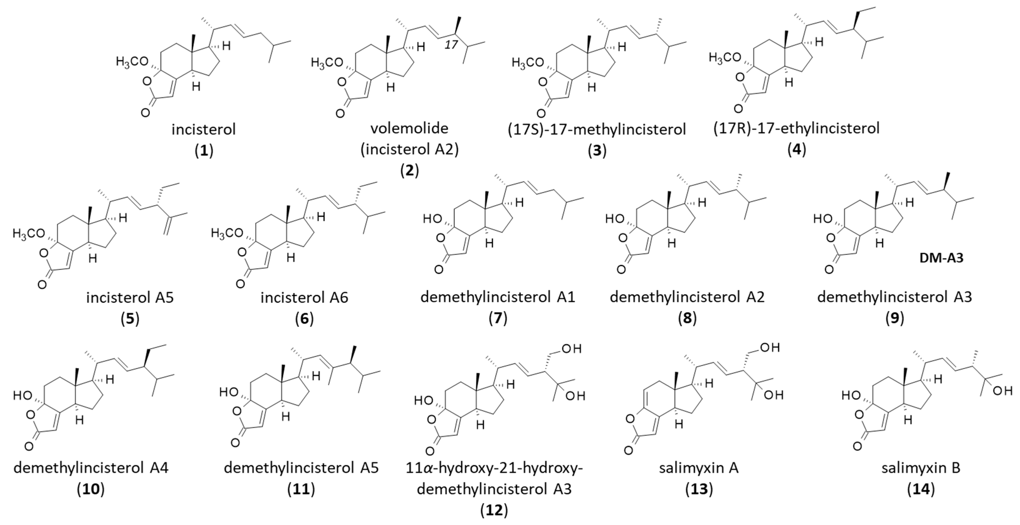 Life 15 01638 g001 Life 15 01638 g001