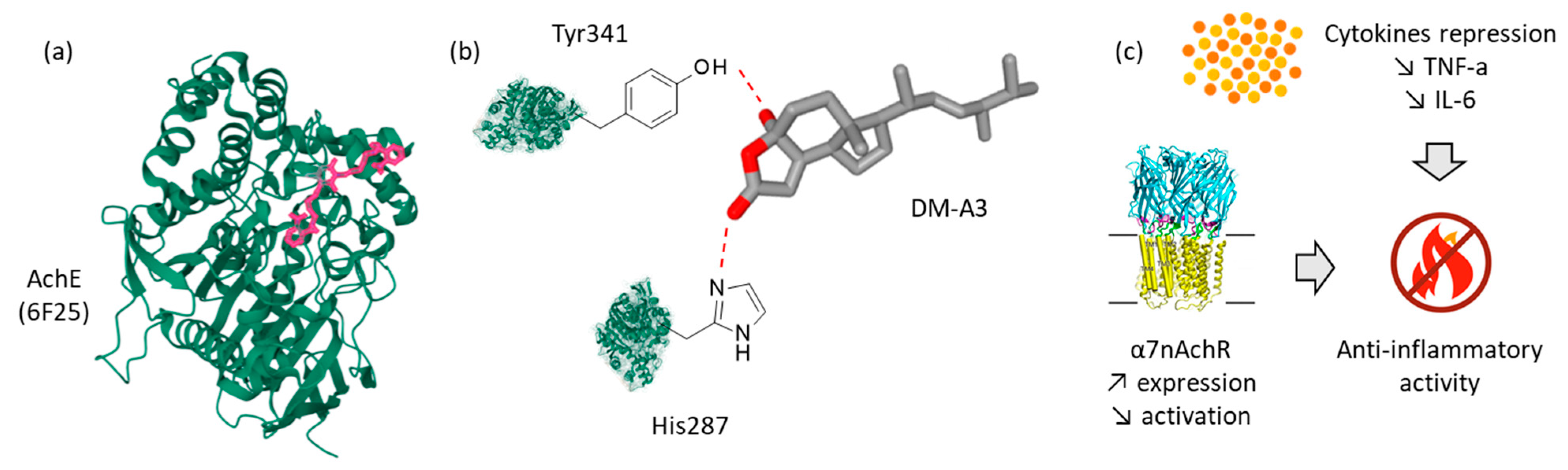 Life 15 01638 g002 Life 15 01638 g002