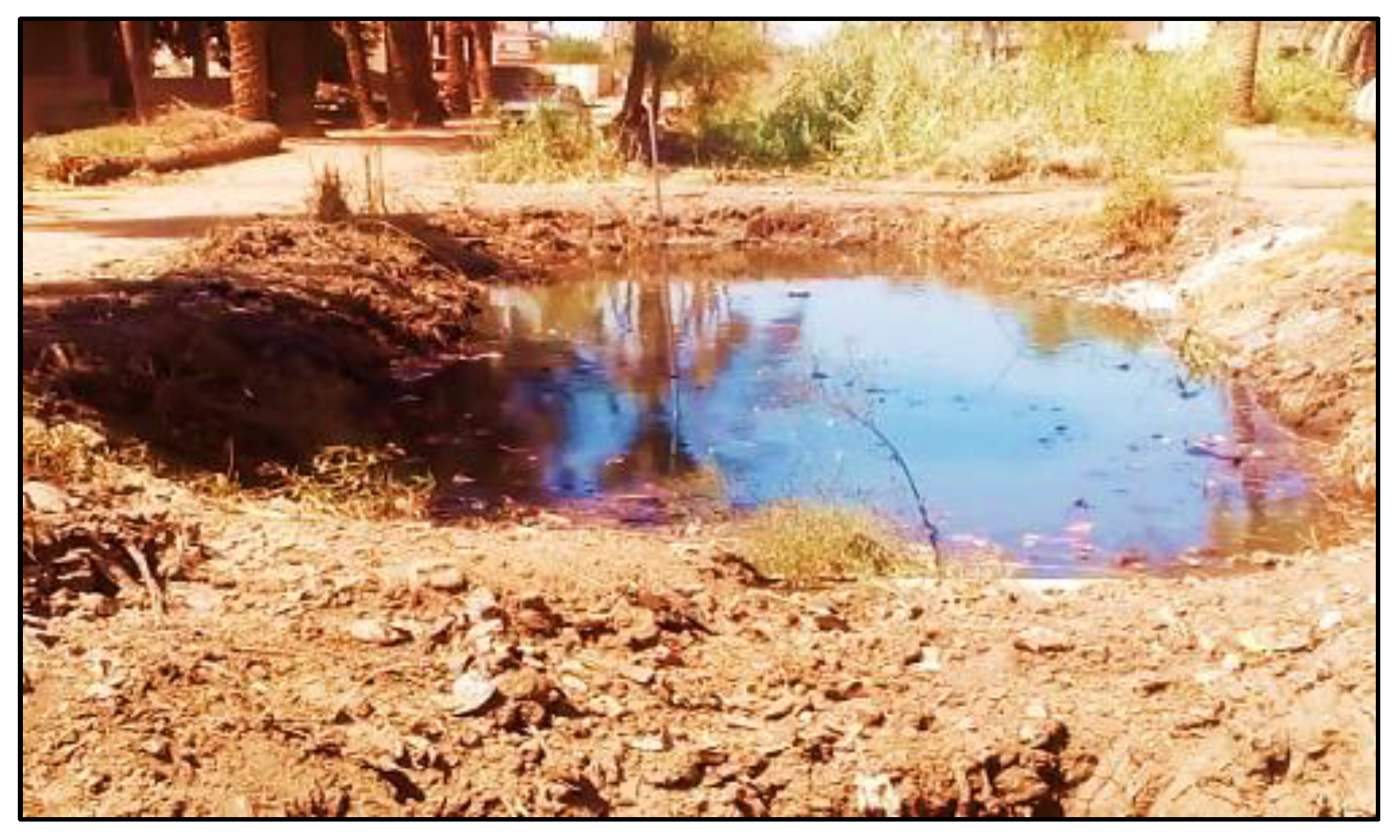 Limnolrev 23 00005 g003