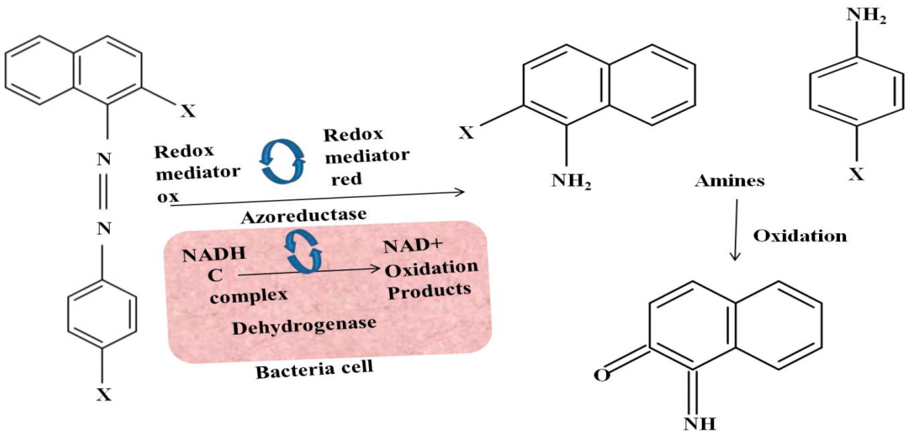 Limnolrev 24 00007 g002