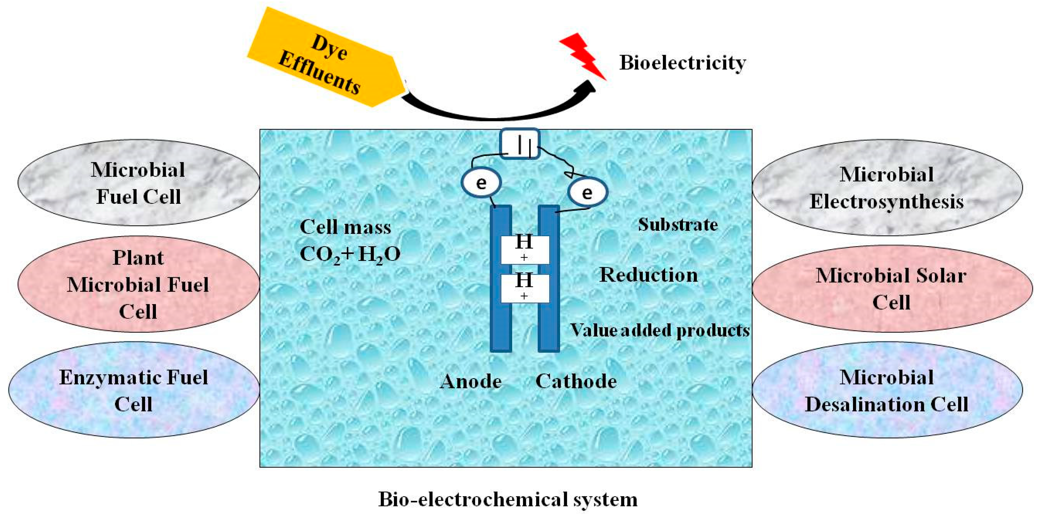 Limnolrev 24 00007 g004
