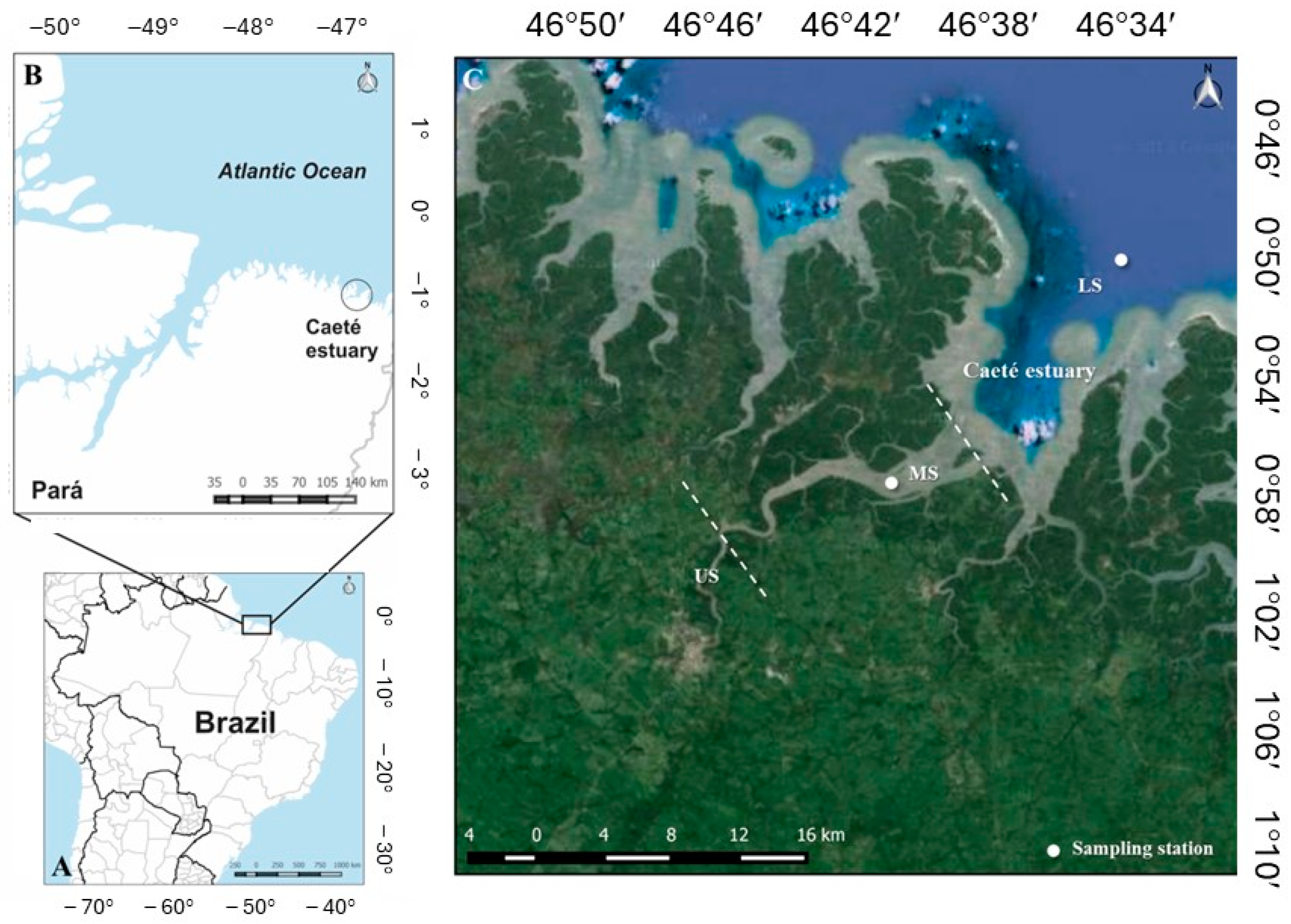 Limnolrev 24 00019 g001