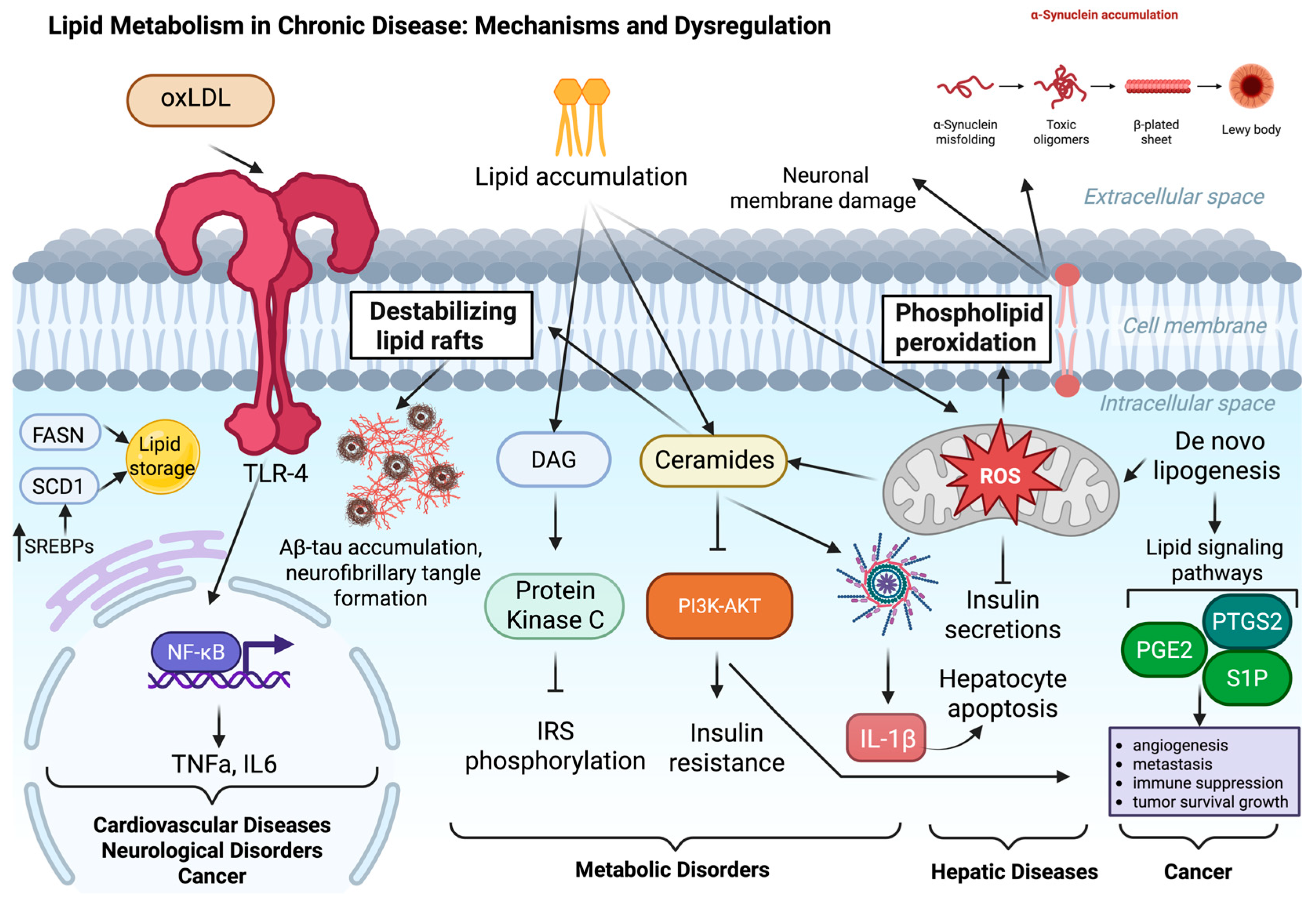 Lipidology 02 00019 g001 Lipidology 02 00019 g001