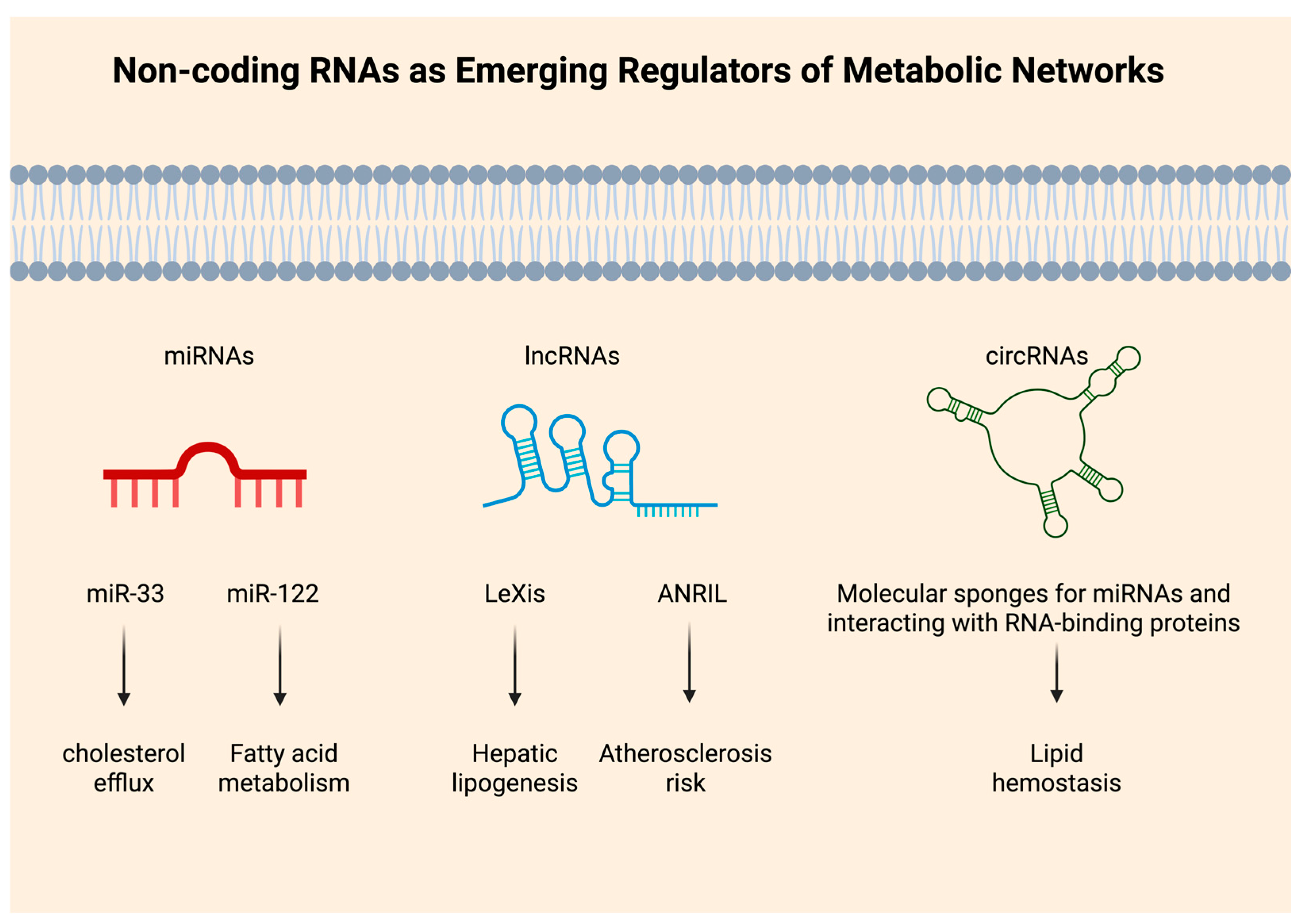Lipidology 02 00019 g002 Lipidology 02 00019 g002