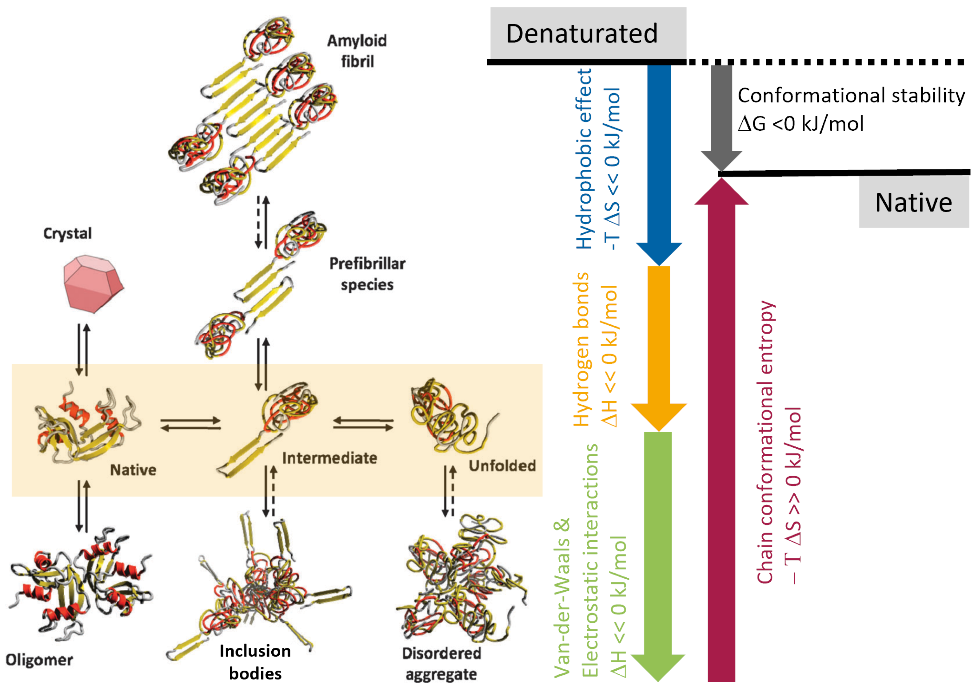Liquids 04 00001 g003 Liquids 04 00001 g003