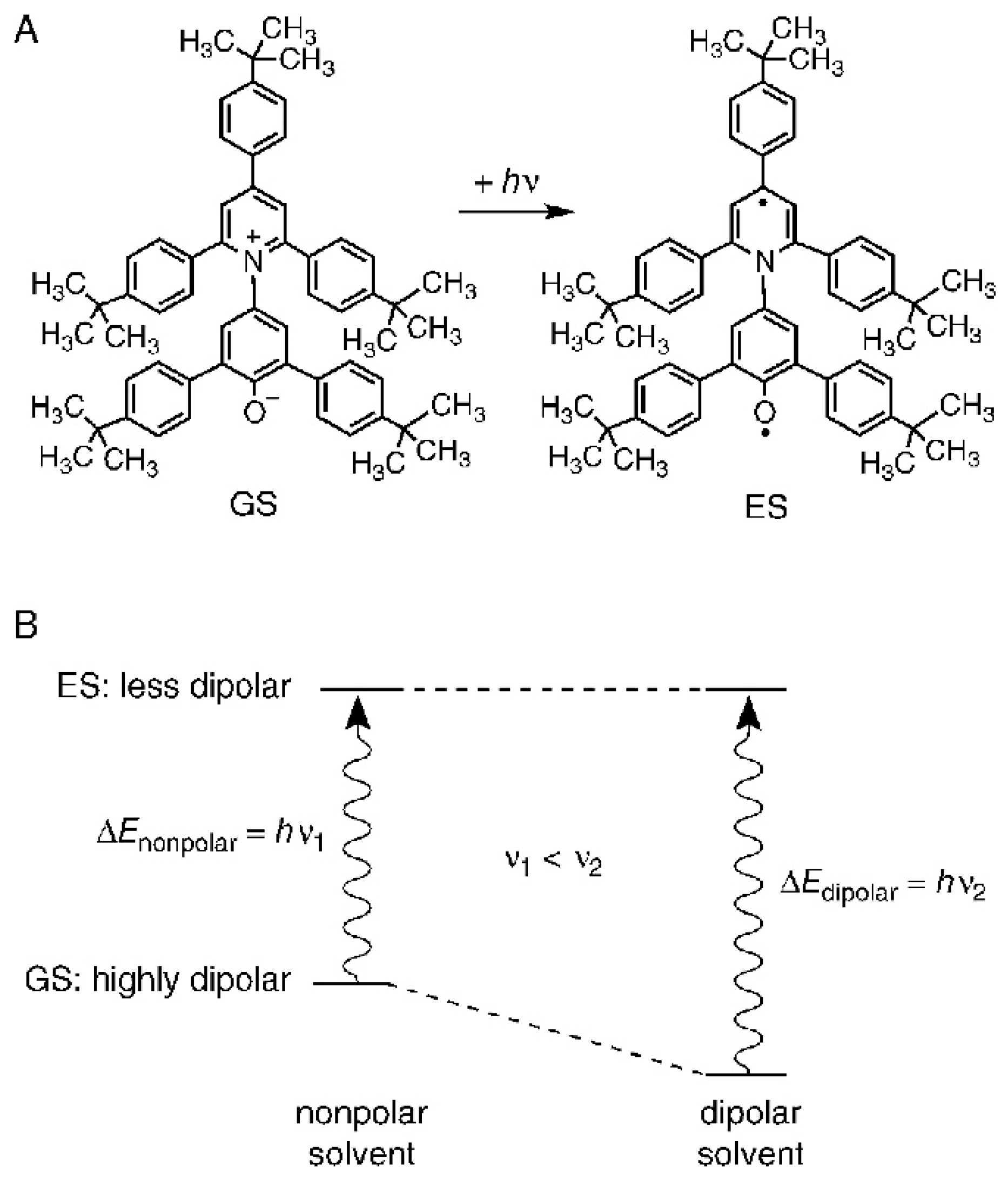 Liquids 04 00003 g006