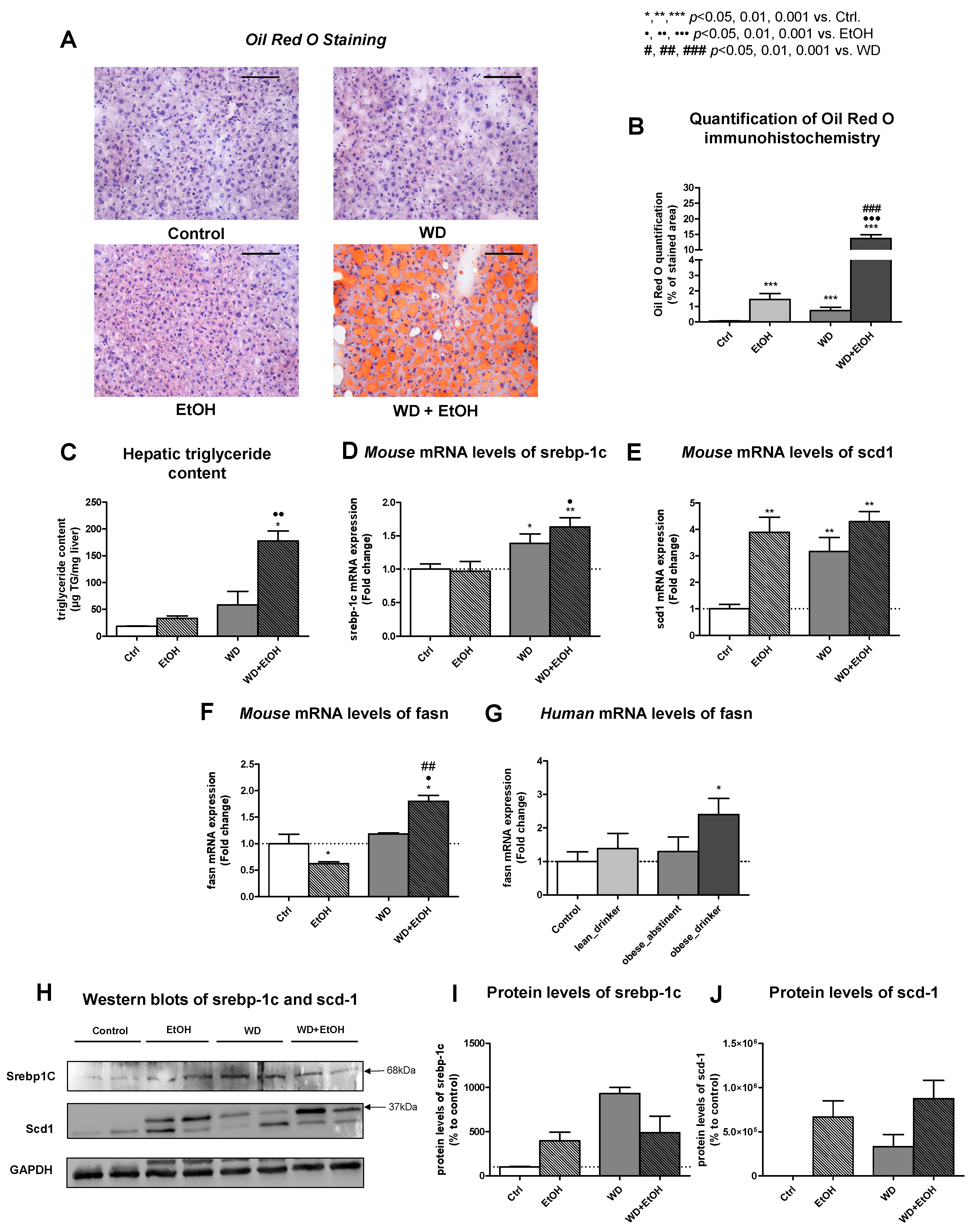 Livers 01 00003 g002