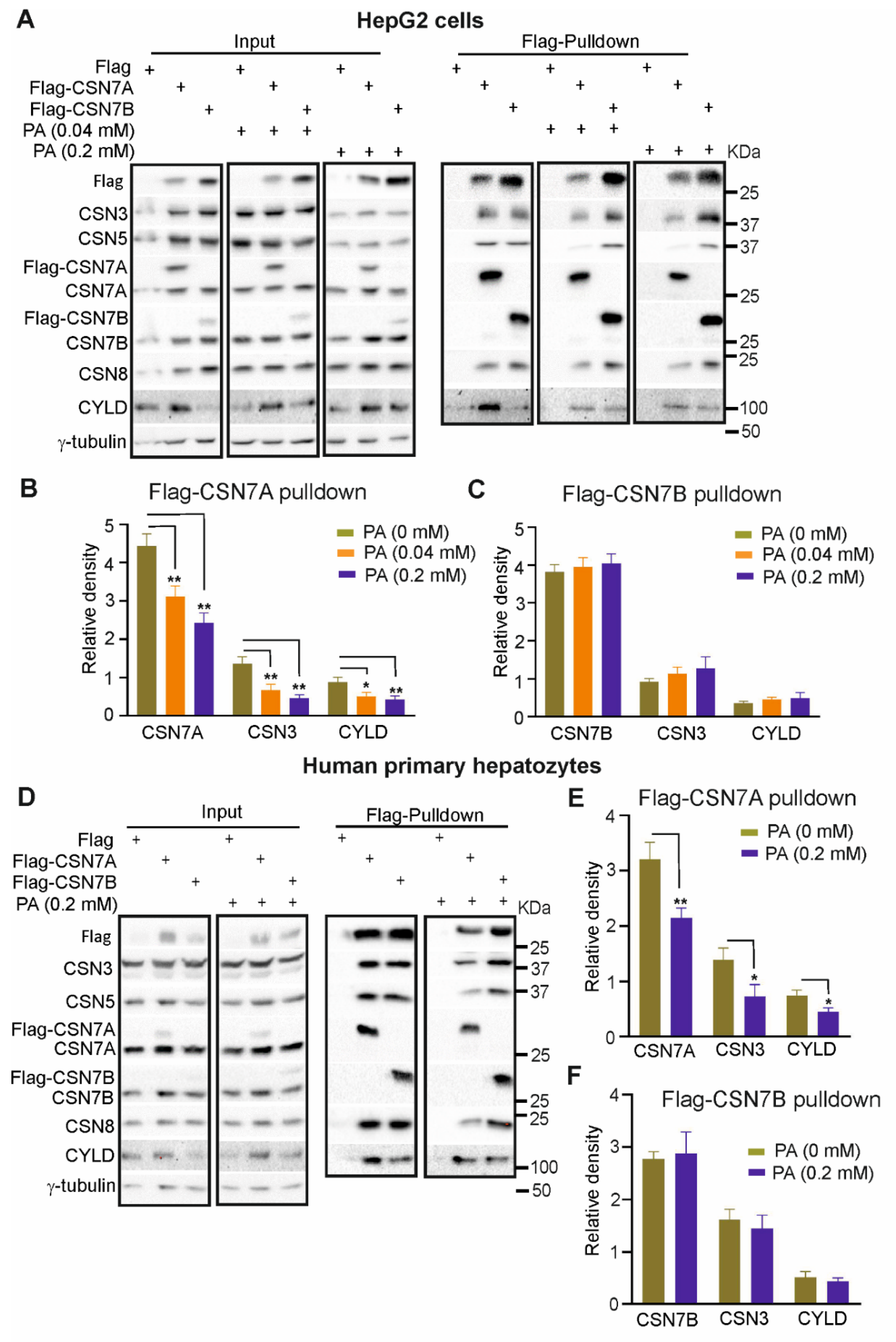 Livers 01 00011 g005 Livers 01 00011 g005
