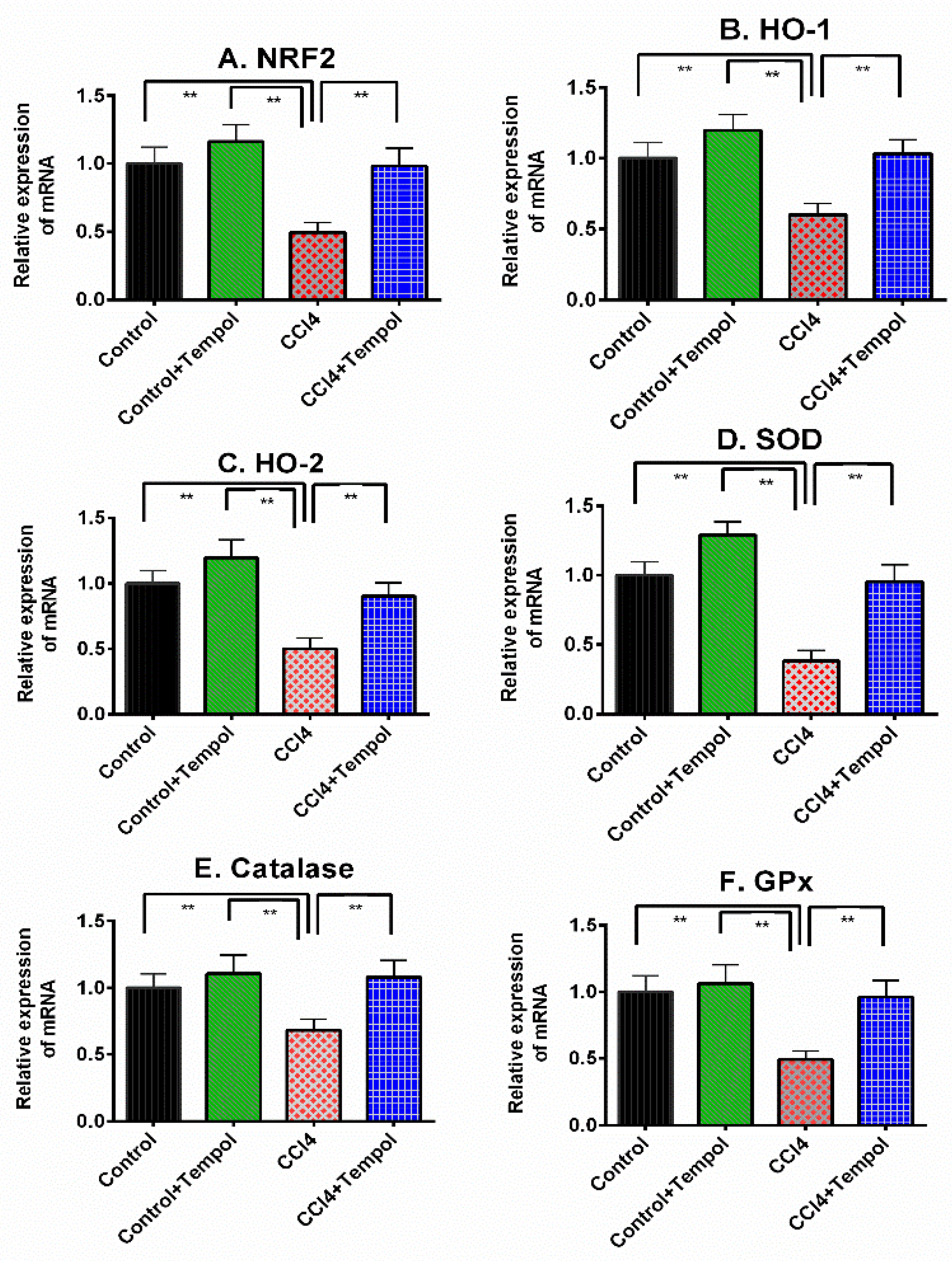 Livers 03 00010 g005 Livers 03 00010 g005