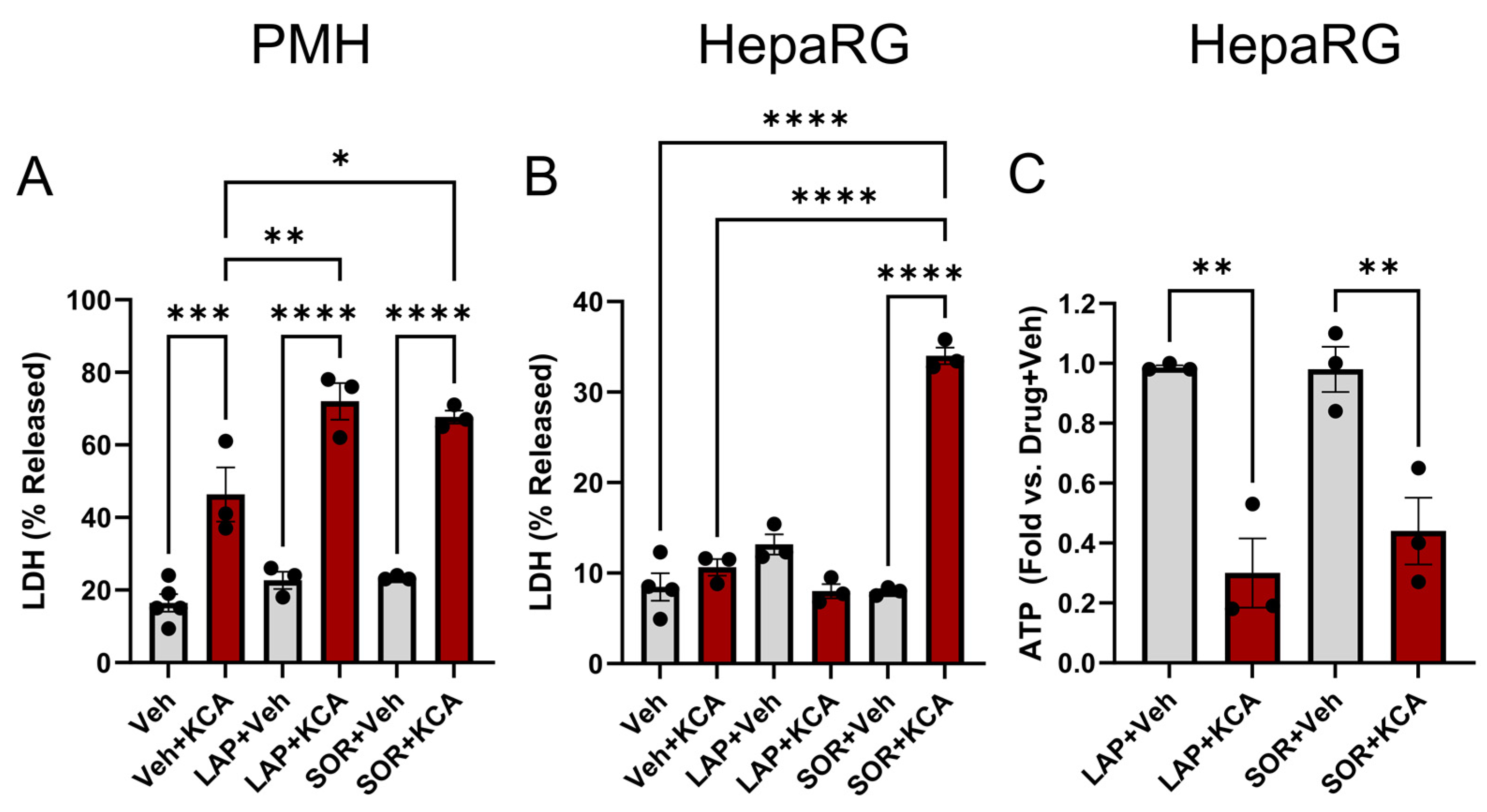 Livers 03 00022 g002