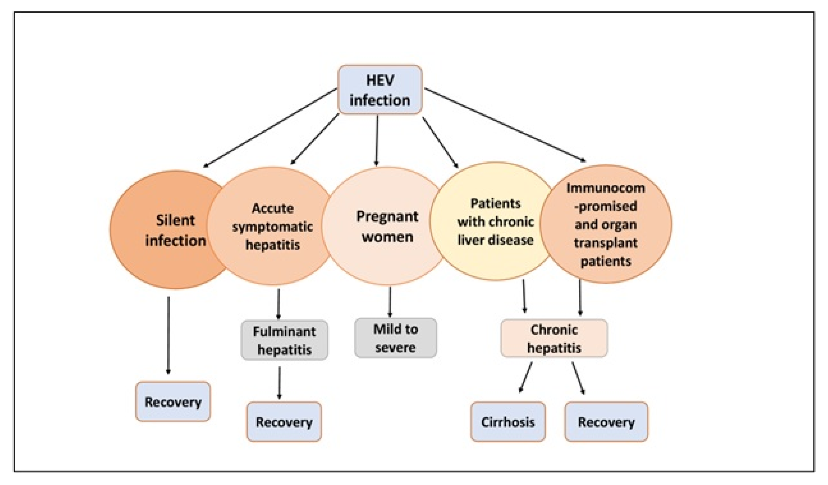 Livers 03 00035 g002 Livers 03 00035 g002