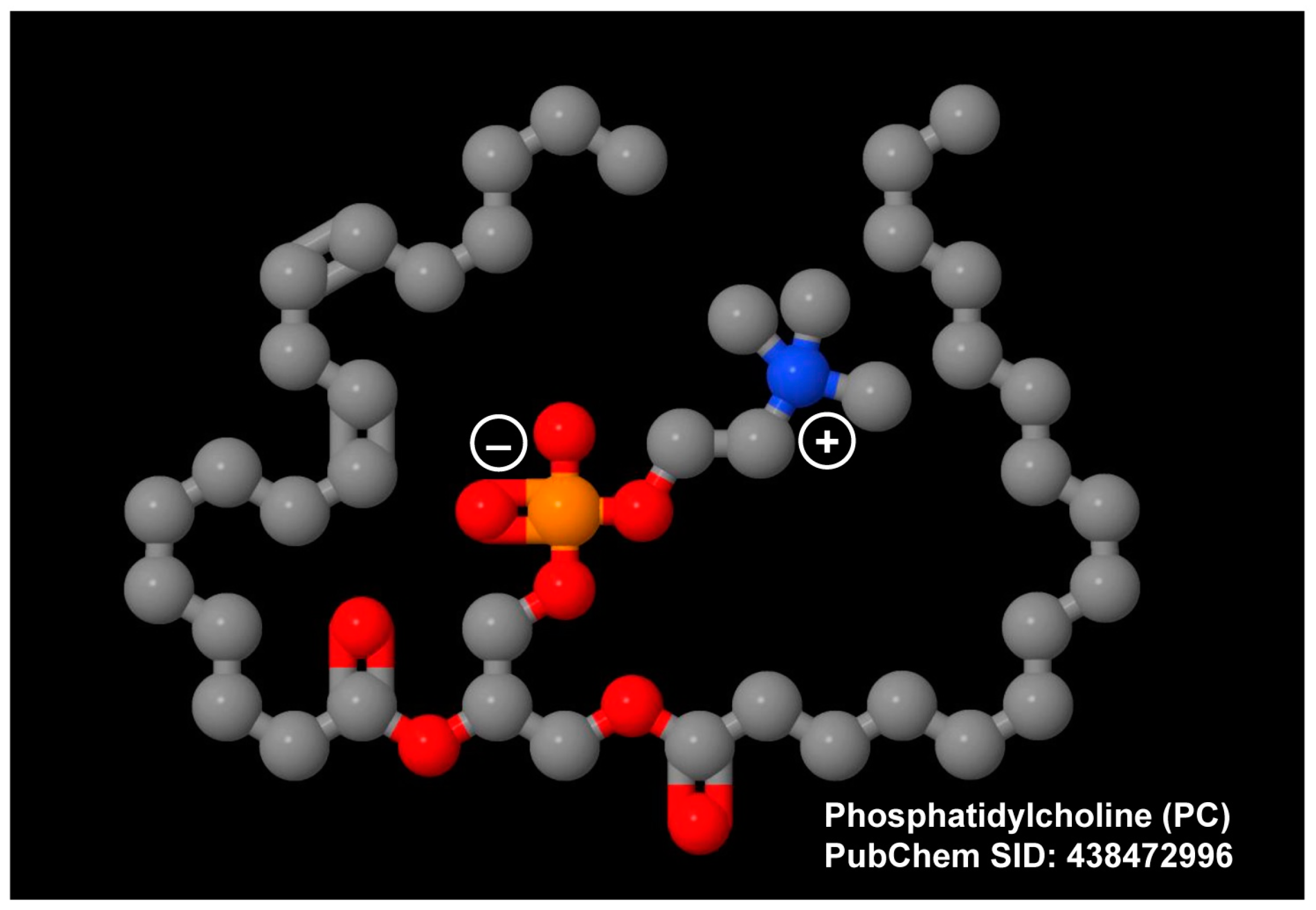 Livers 04 00034 g001 Livers 04 00034 g001