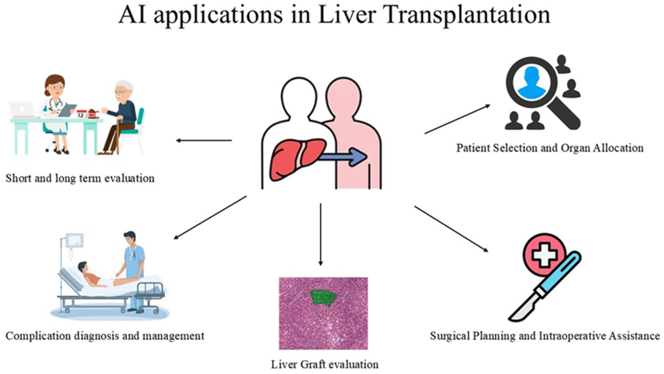 Livers 05 00014 g001