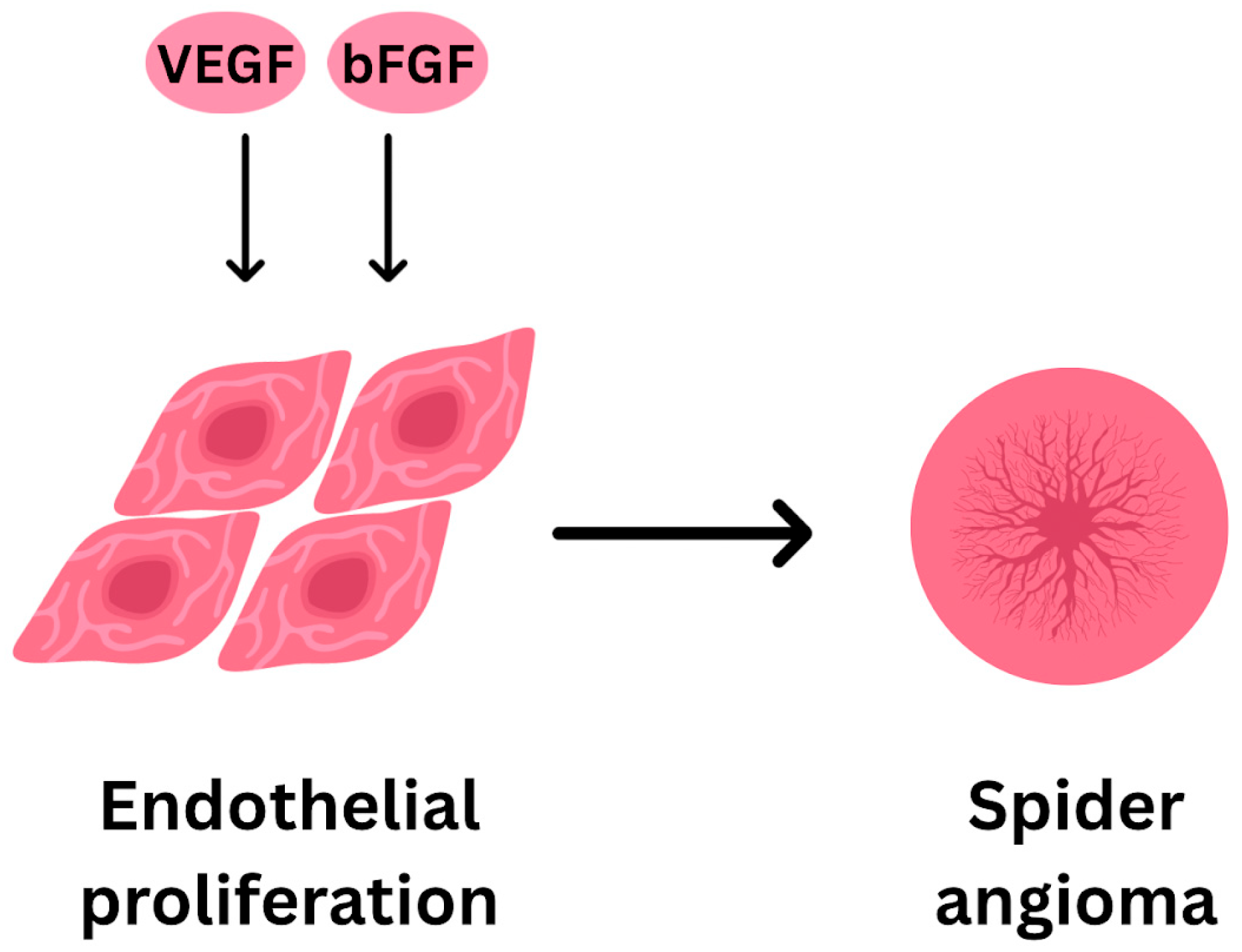 Livers 05 00037 g002 Livers 05 00037 g002