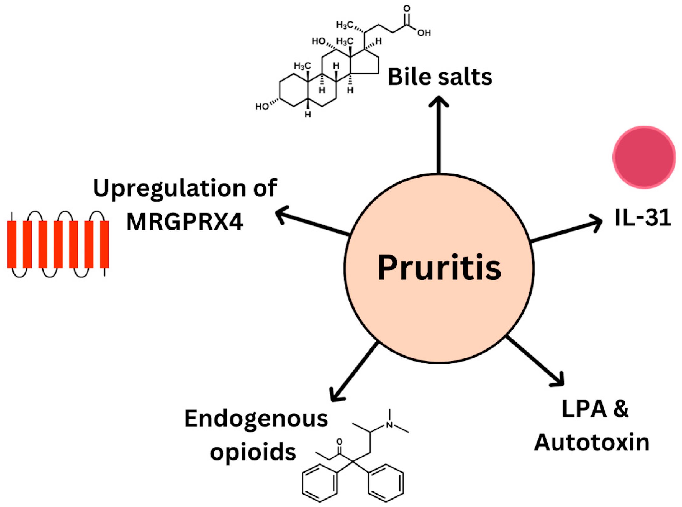 Livers 05 00037 g004 Livers 05 00037 g004