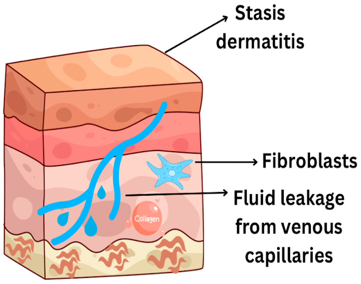 Livers 05 00037 g005 Livers 05 00037 g005