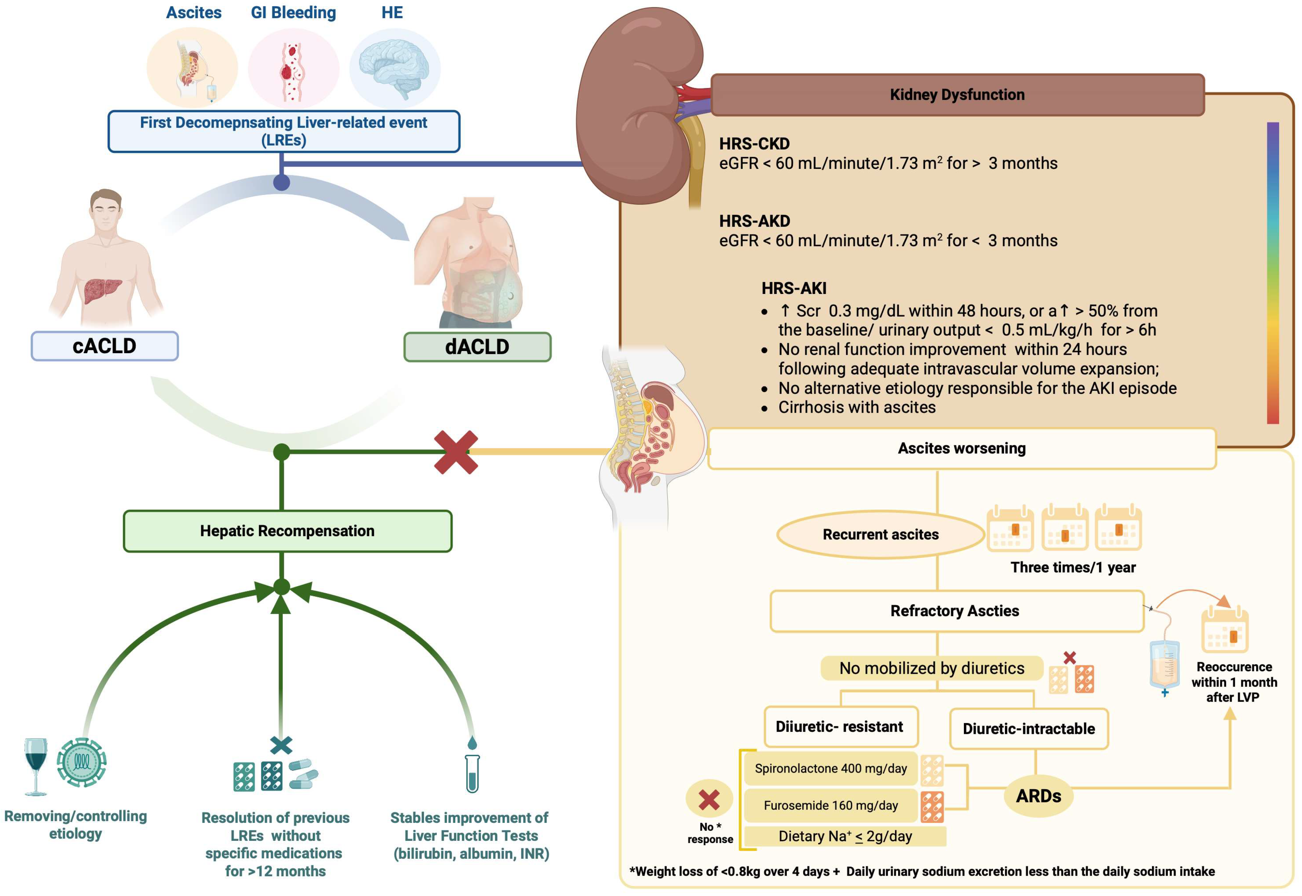 Livers 05 00046 g001 Livers 05 00046 g001