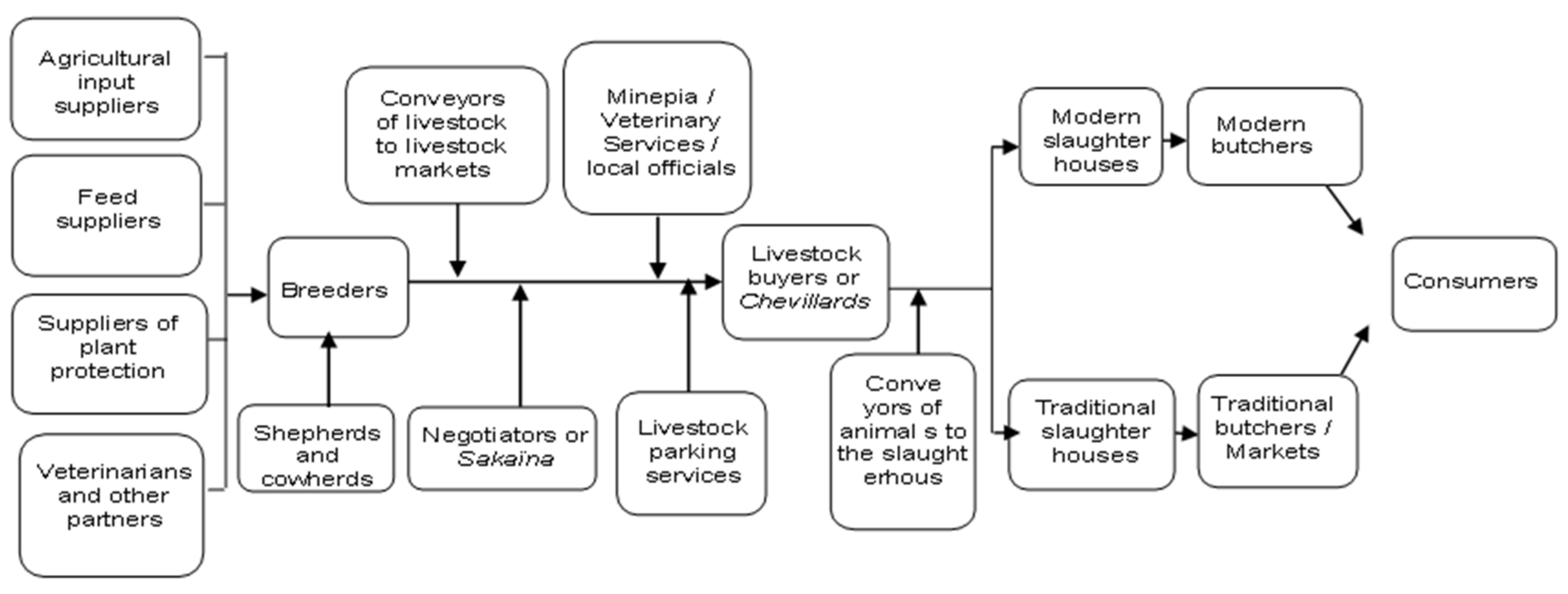 Logistics | Free Full-Text | The Complexity of the Meat Supply Chain in  Cameroon: Multiplicity of Actors, Interactions and Challenges