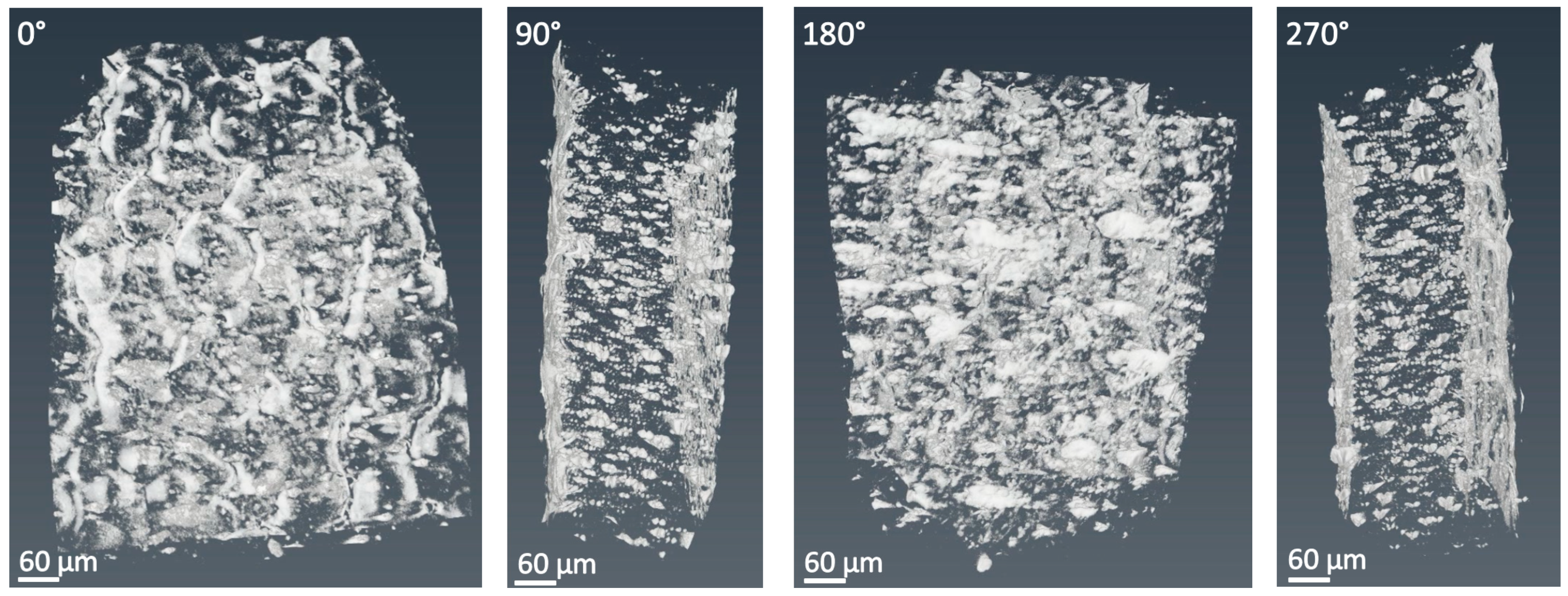 Lubricants 07 00028 g003