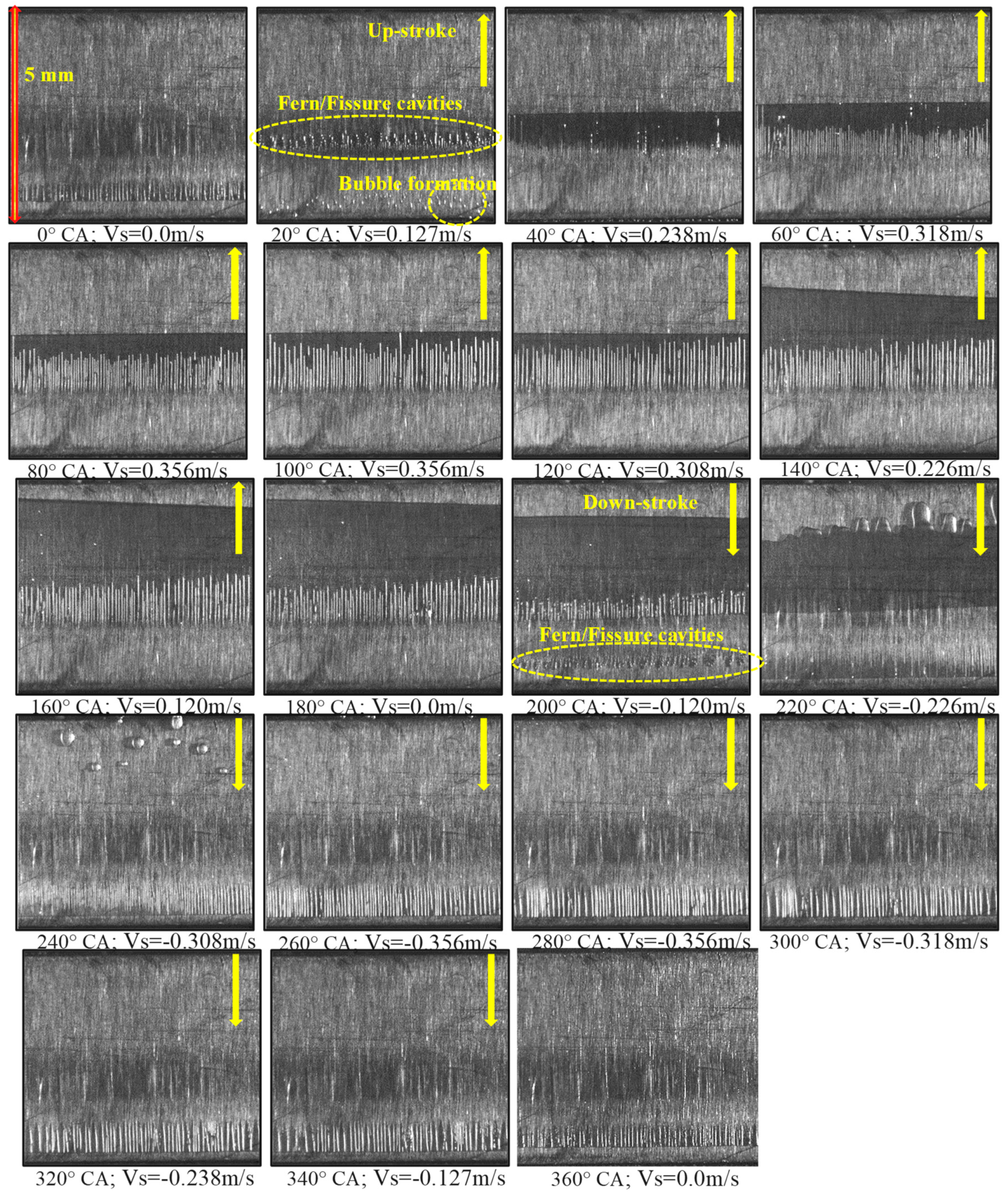 Lubricants 07 00088 g007