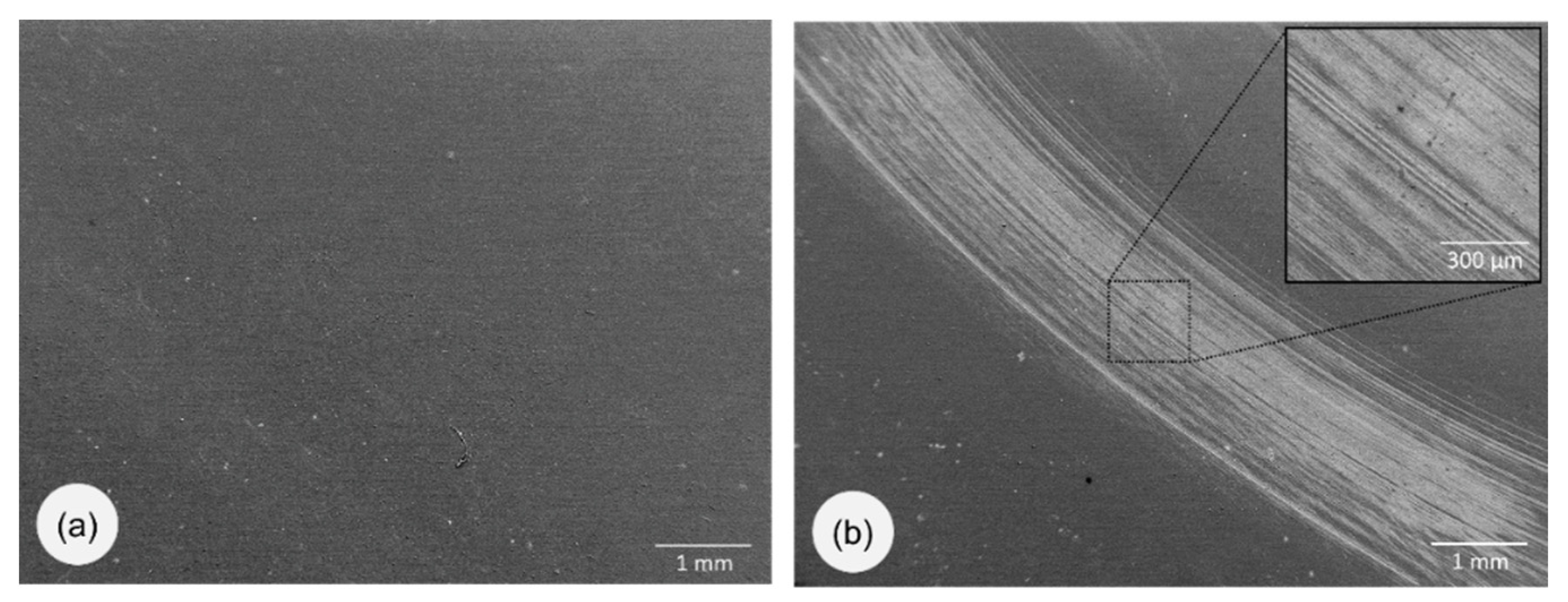 Lubricants 08 00036 g007 Lubricants 08 00036 g007